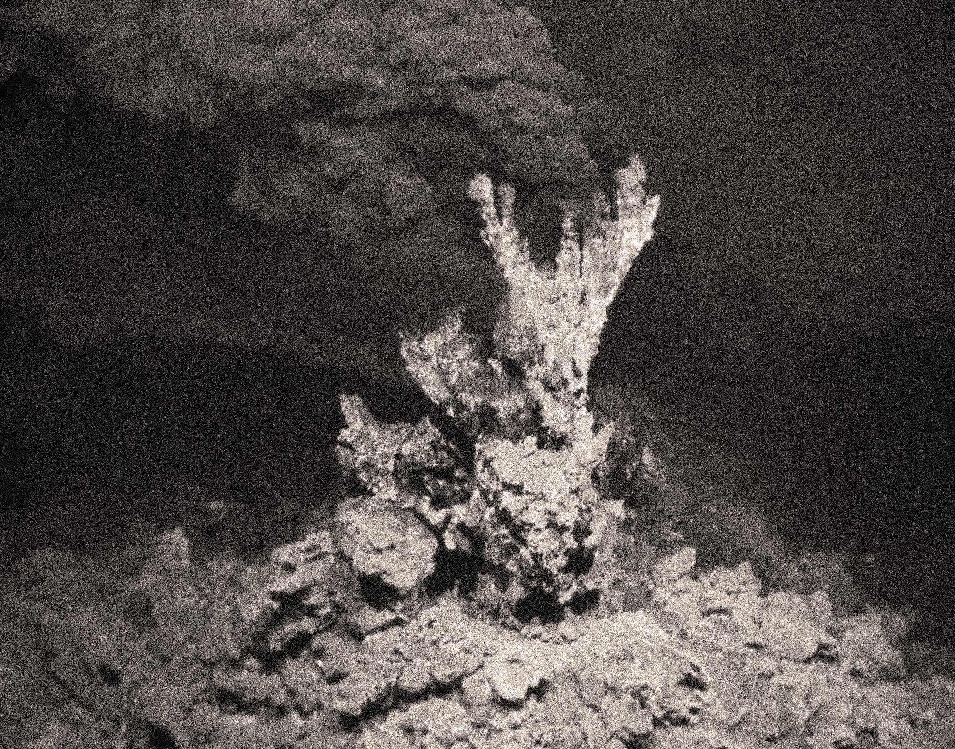 Hydrothermal Vent