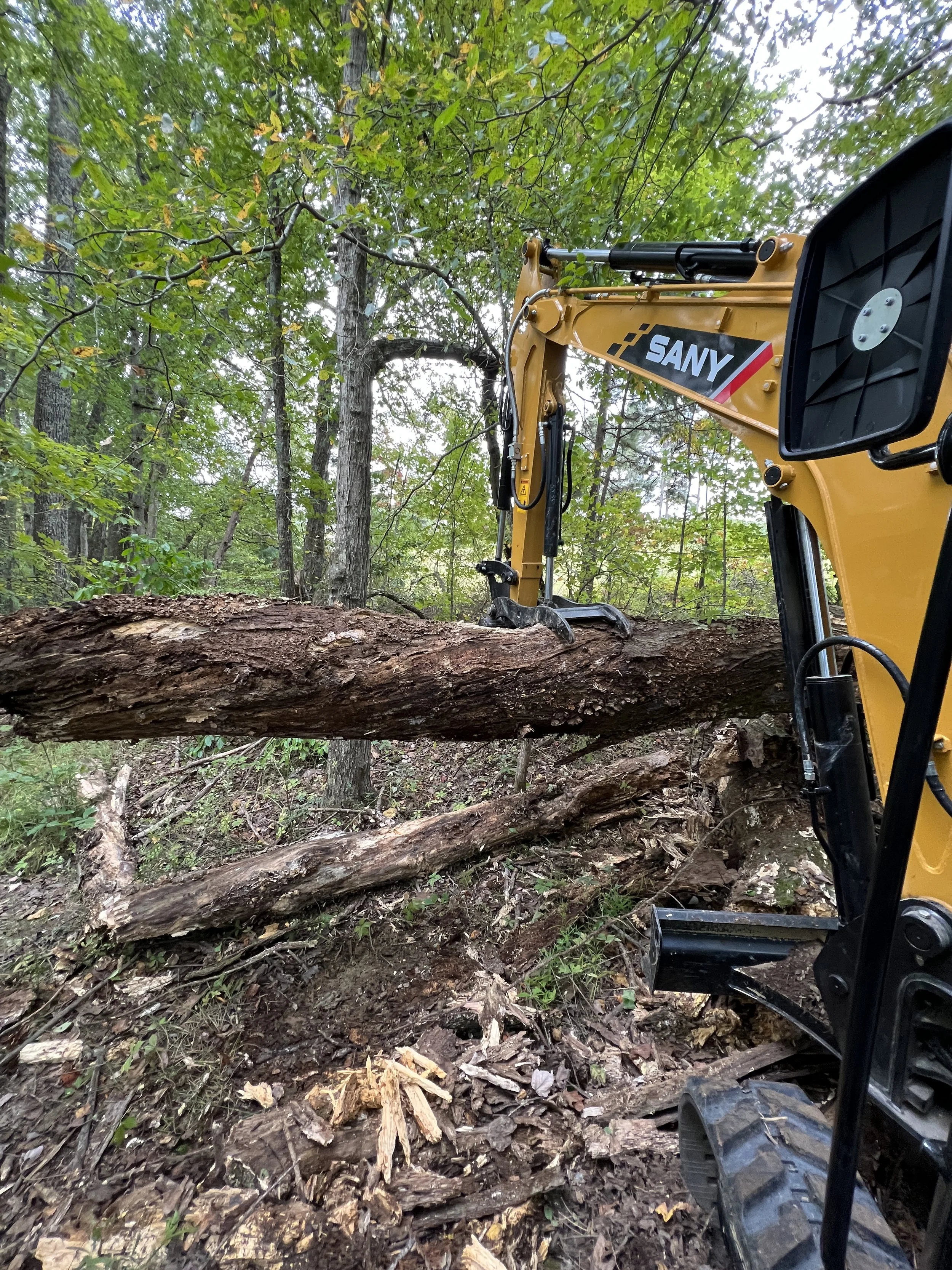 Skid steer brush cutting and property cleanup in London KY