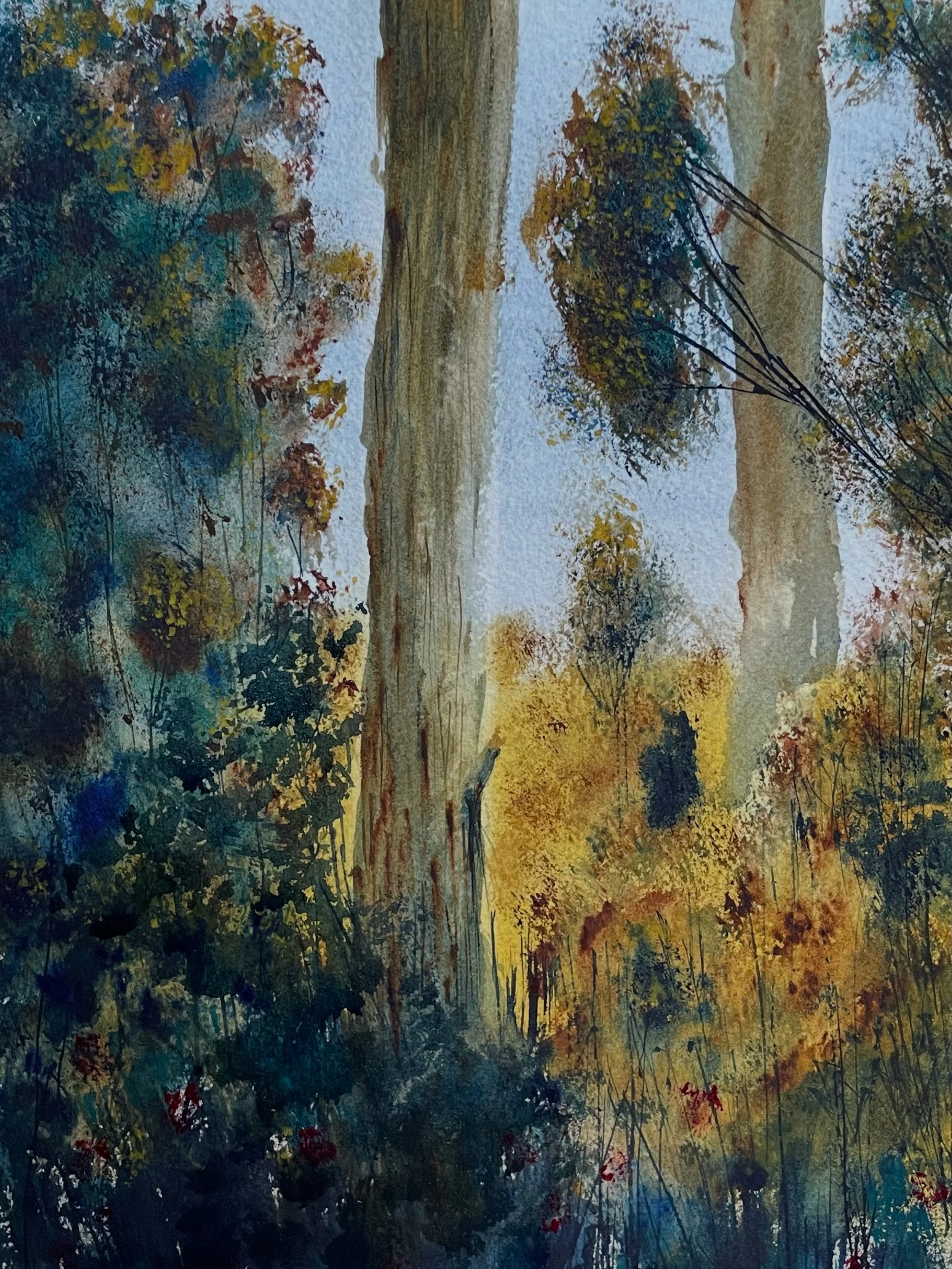 Eucalypt forest lights