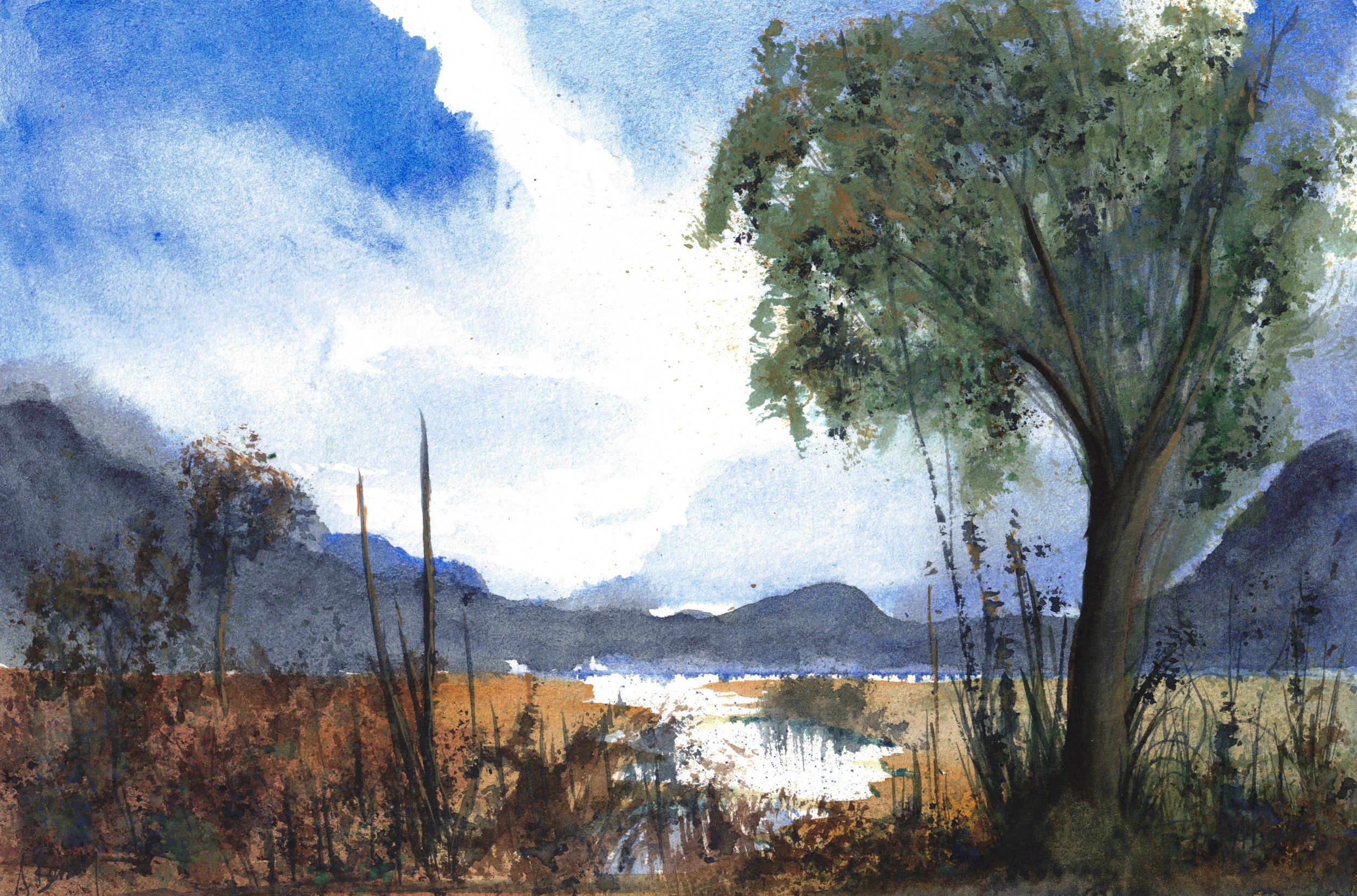 The plain toward the hills