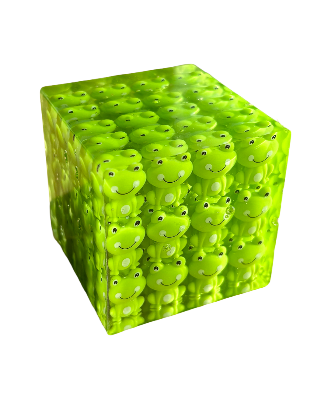 frog+cube.png