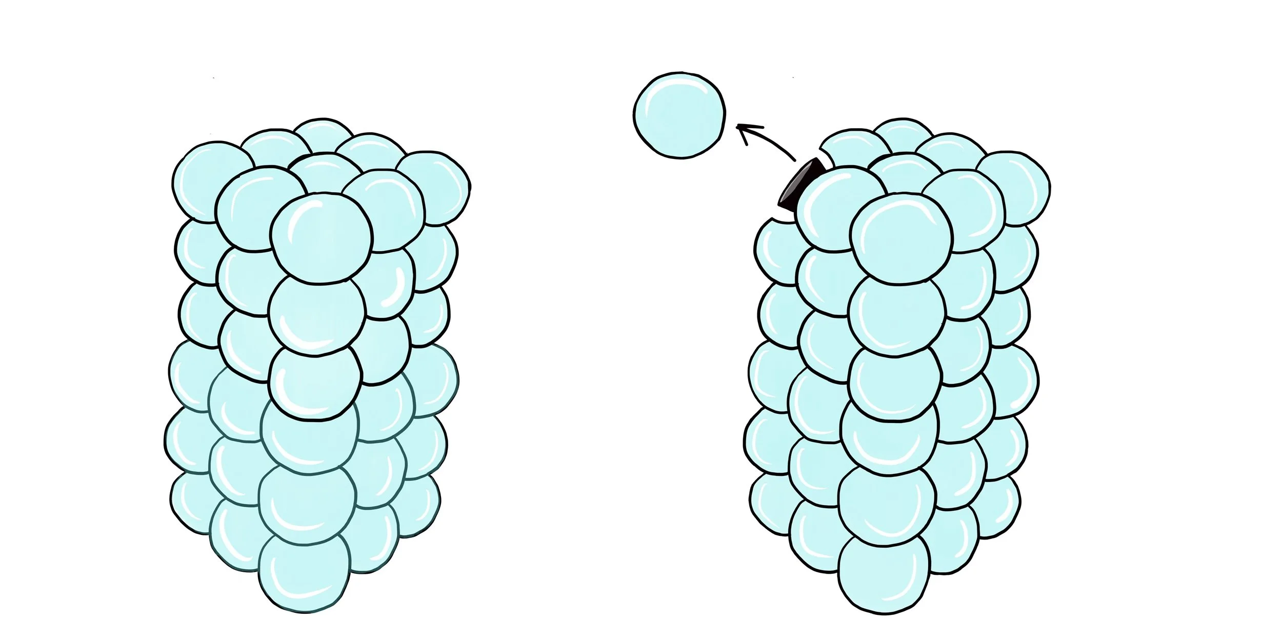 Bubble Cleanser Bottle