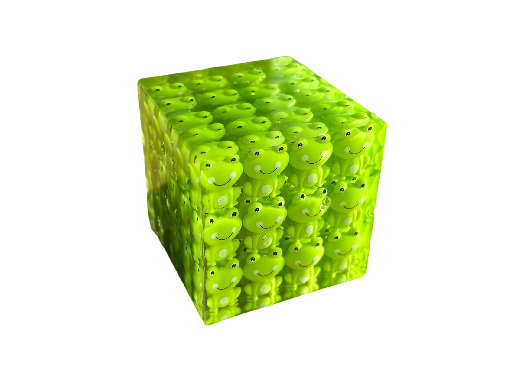 Frog Cube