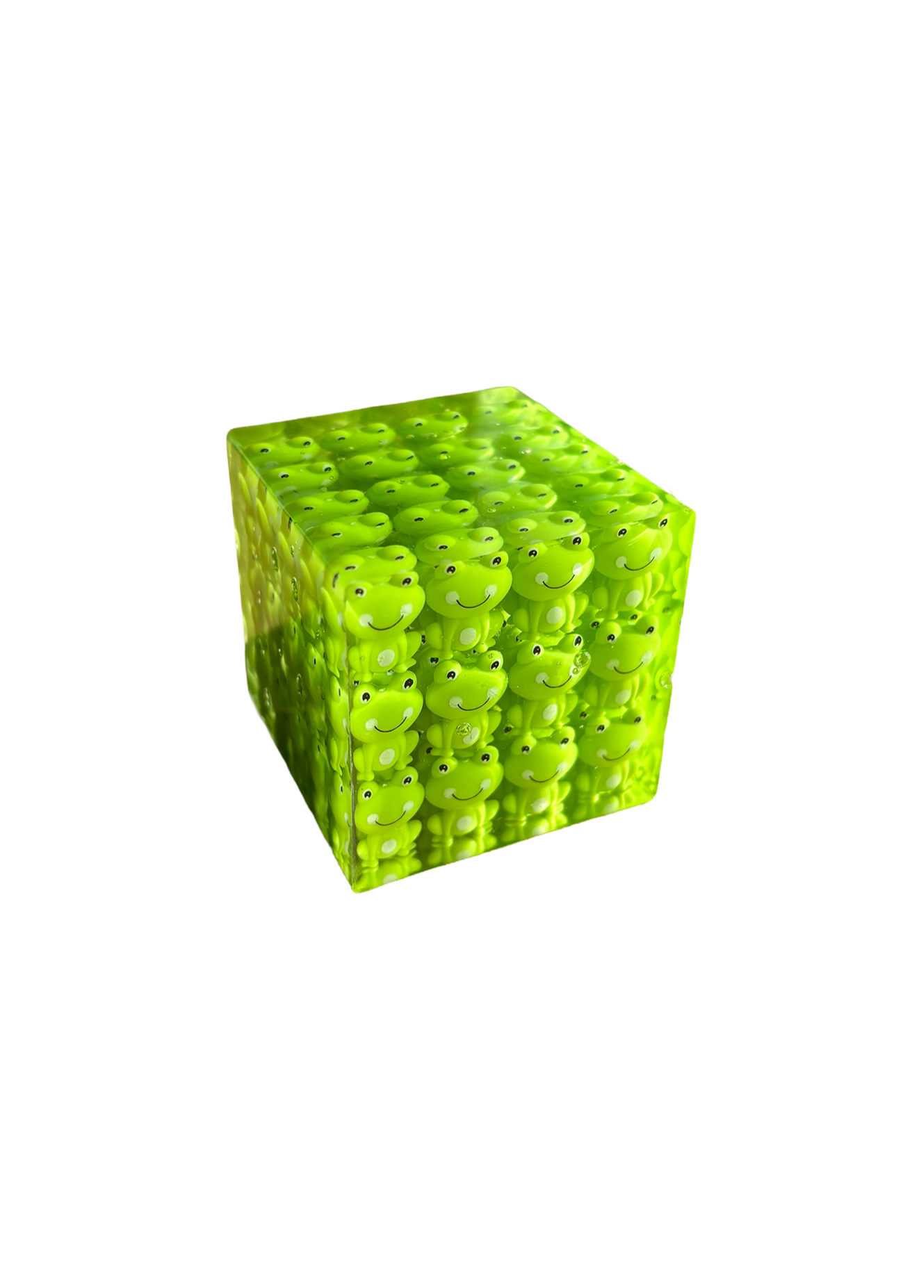 Frog Cube