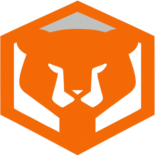 Tensho Boxing Academy 