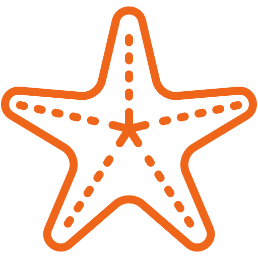 Orange outlined starfish icon with dotted lines on a black background.