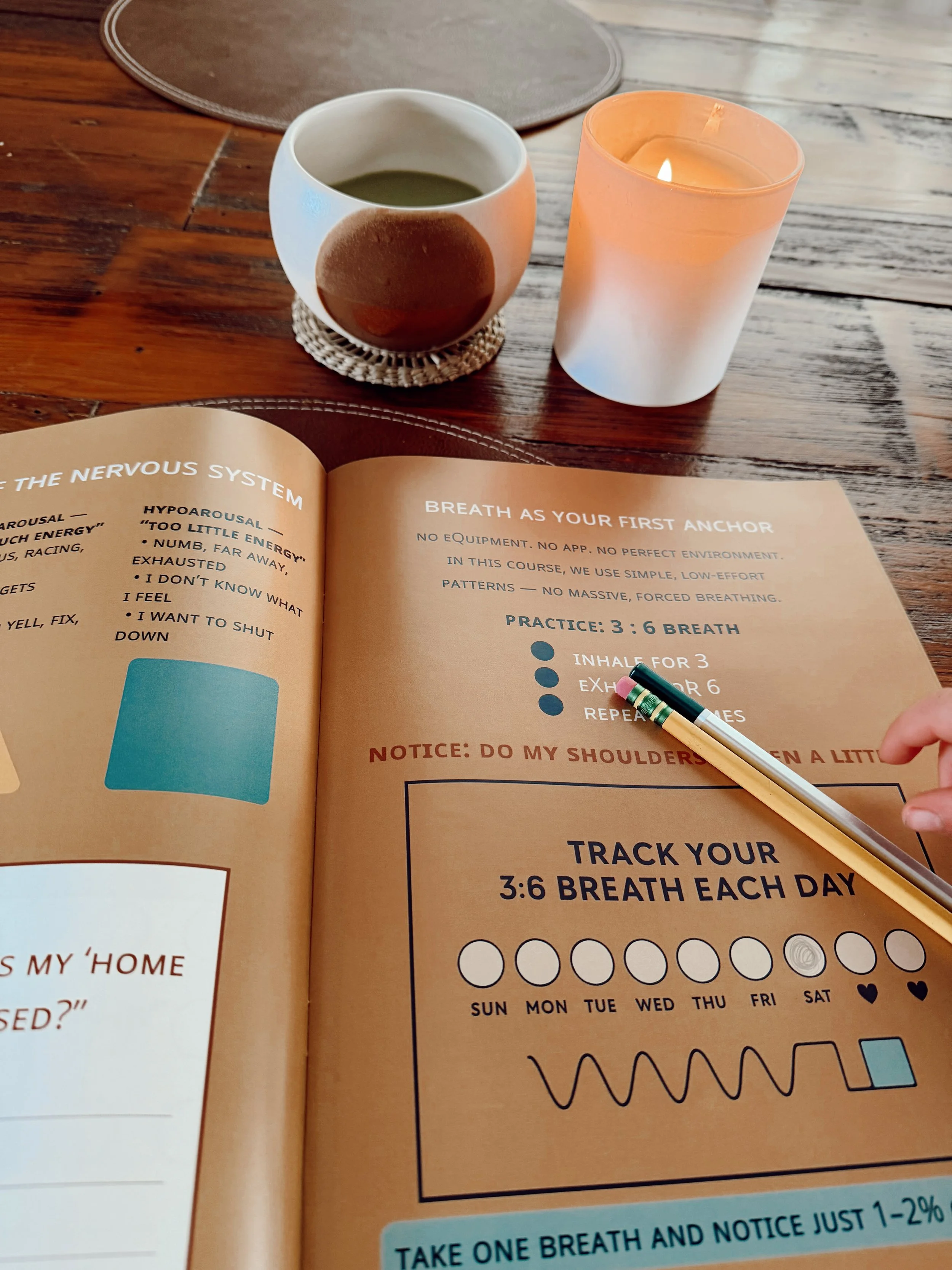 the mini-guide workbook