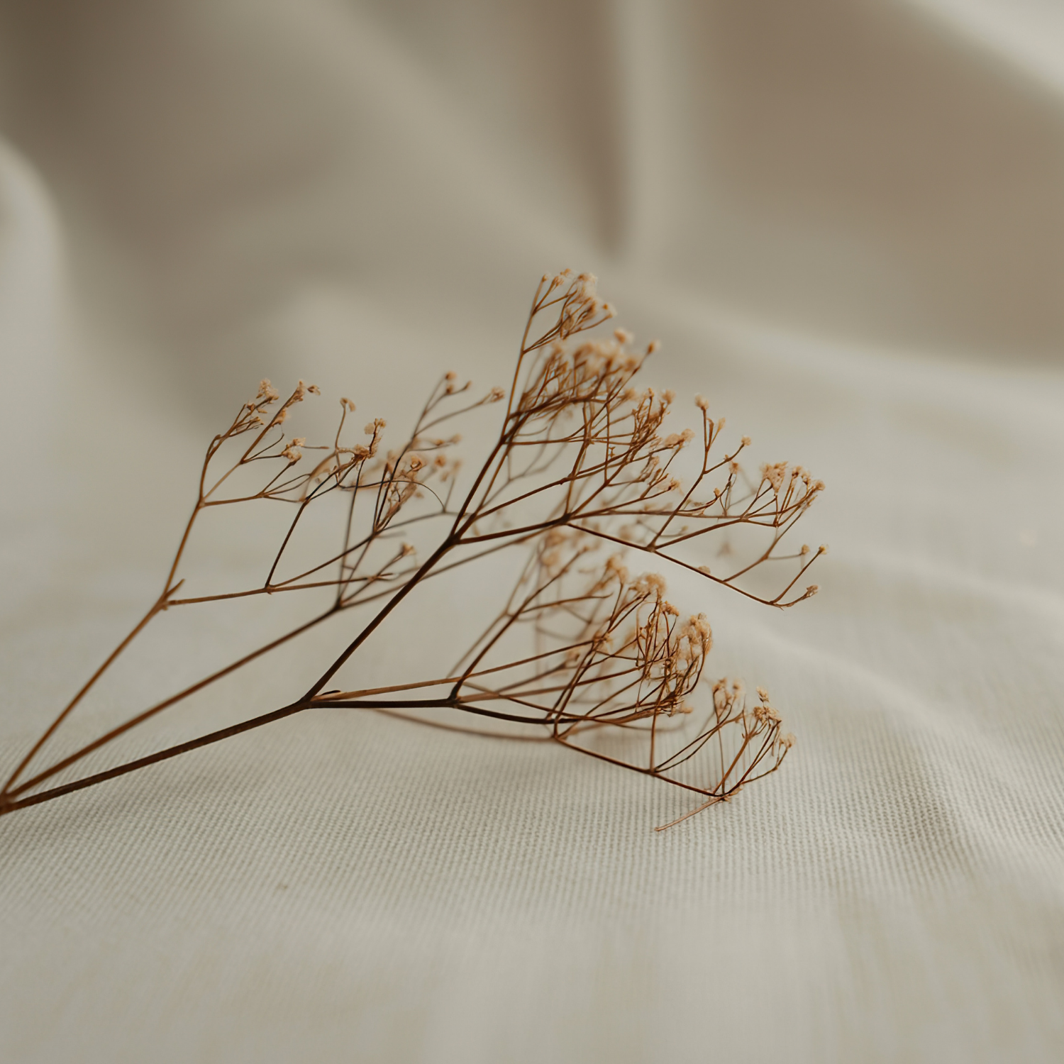 ᴛʜᴇ ʀᴇsᴇᴛ ᴄᴏɴᴛᴀɪɴᴇʀ