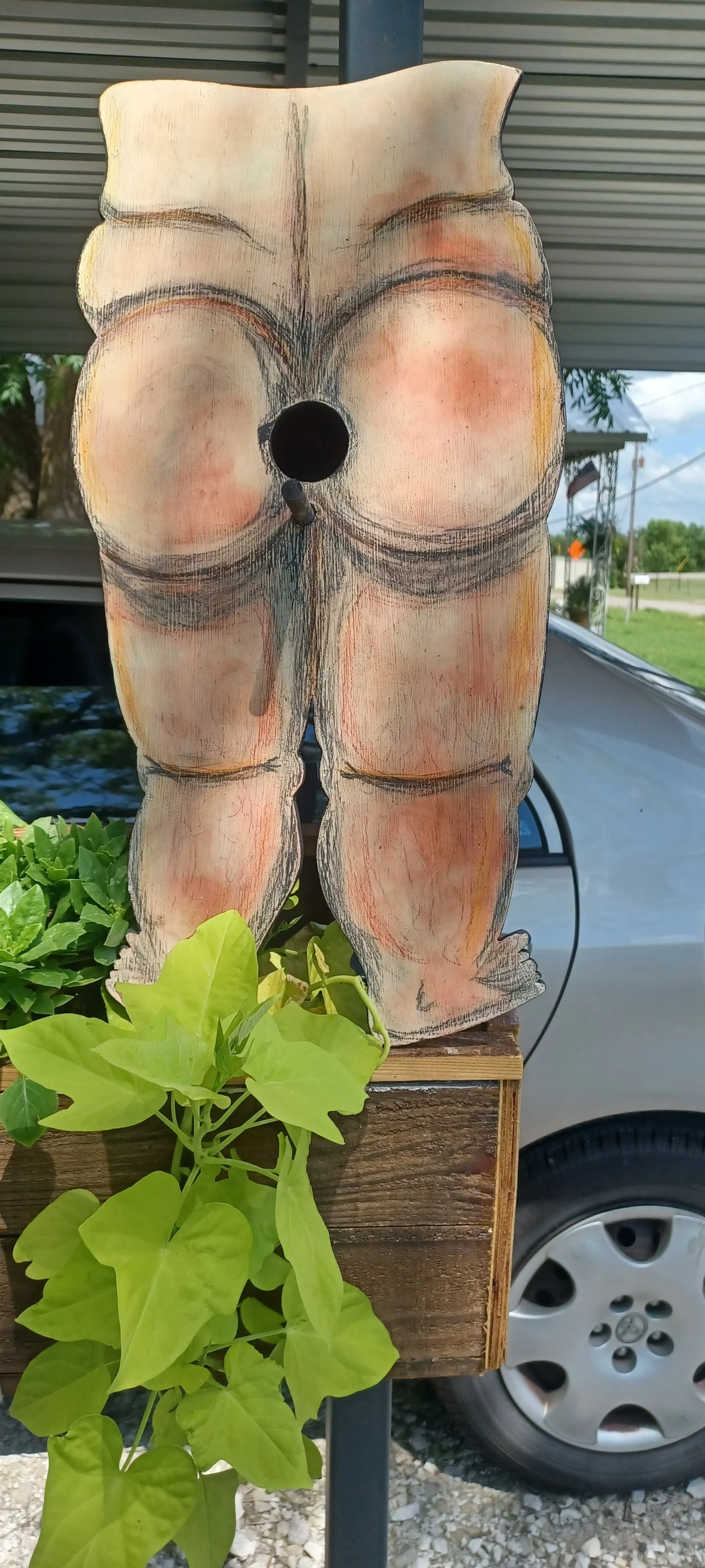 20250625_152308_8.jpg