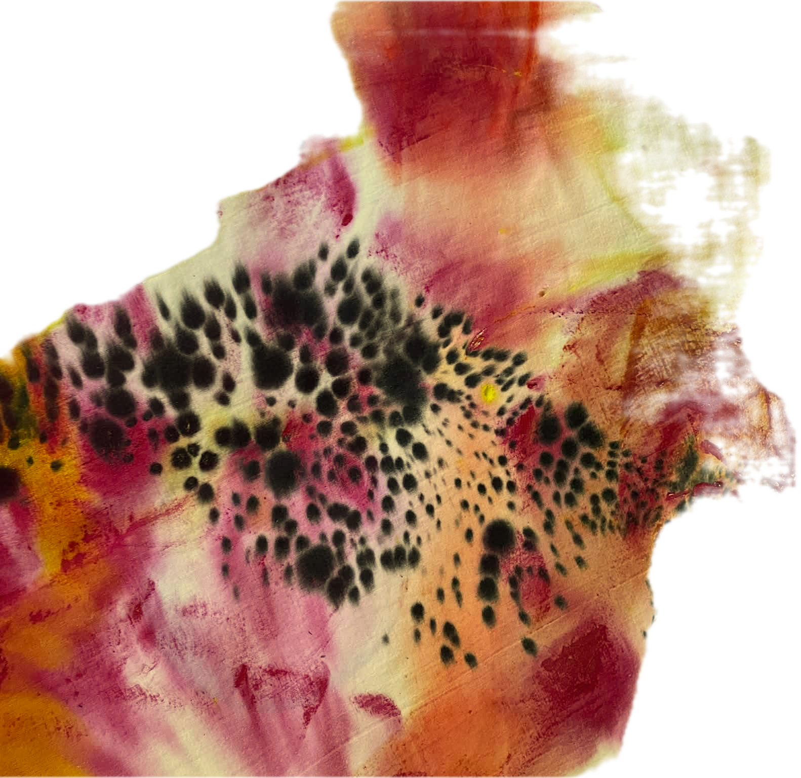 Detail from Rata Gordon’s mixed-media artwork featuring pink, yellow, and dark organic shapes.