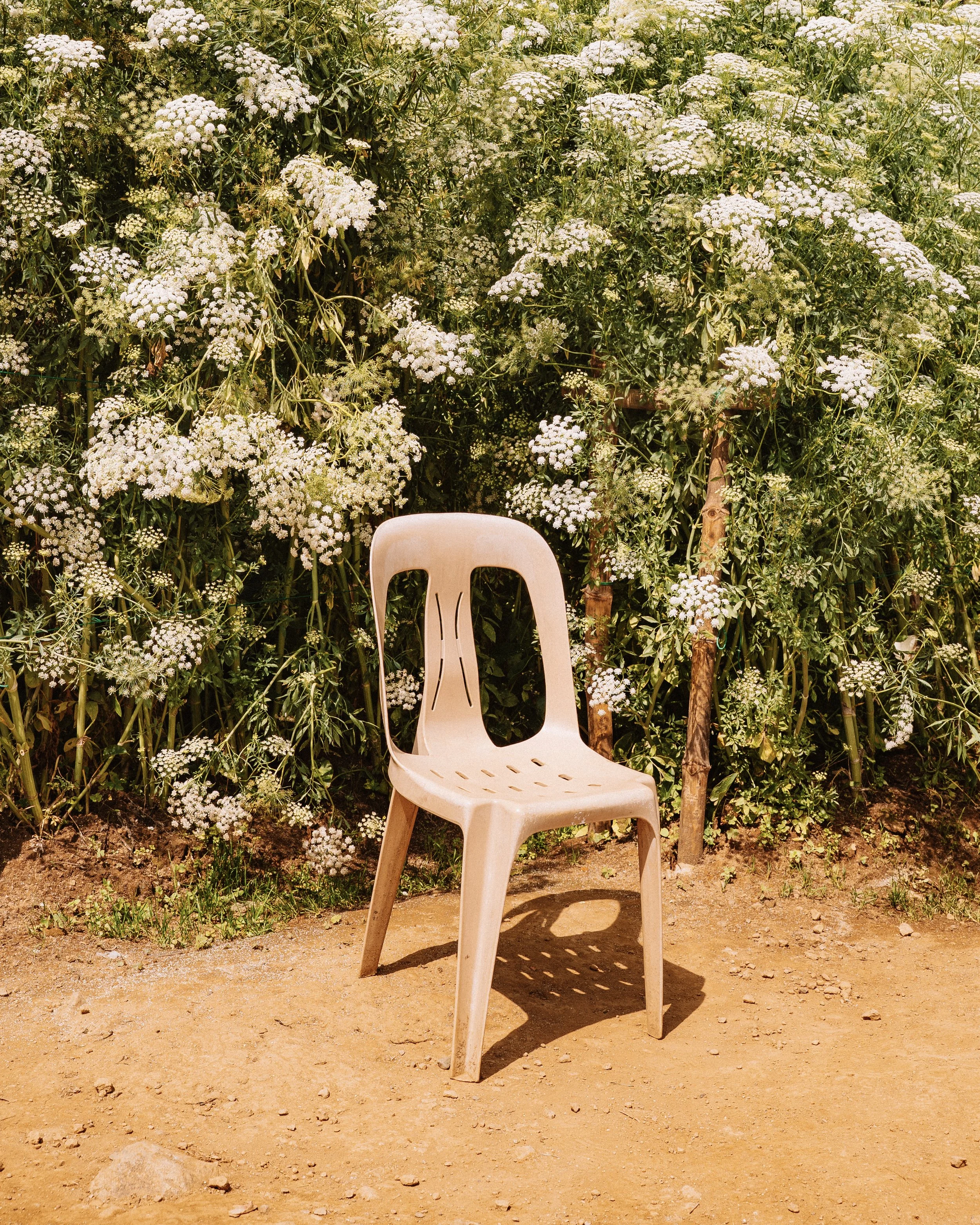 A Cultural Icon: The Humble Plastic Chair
