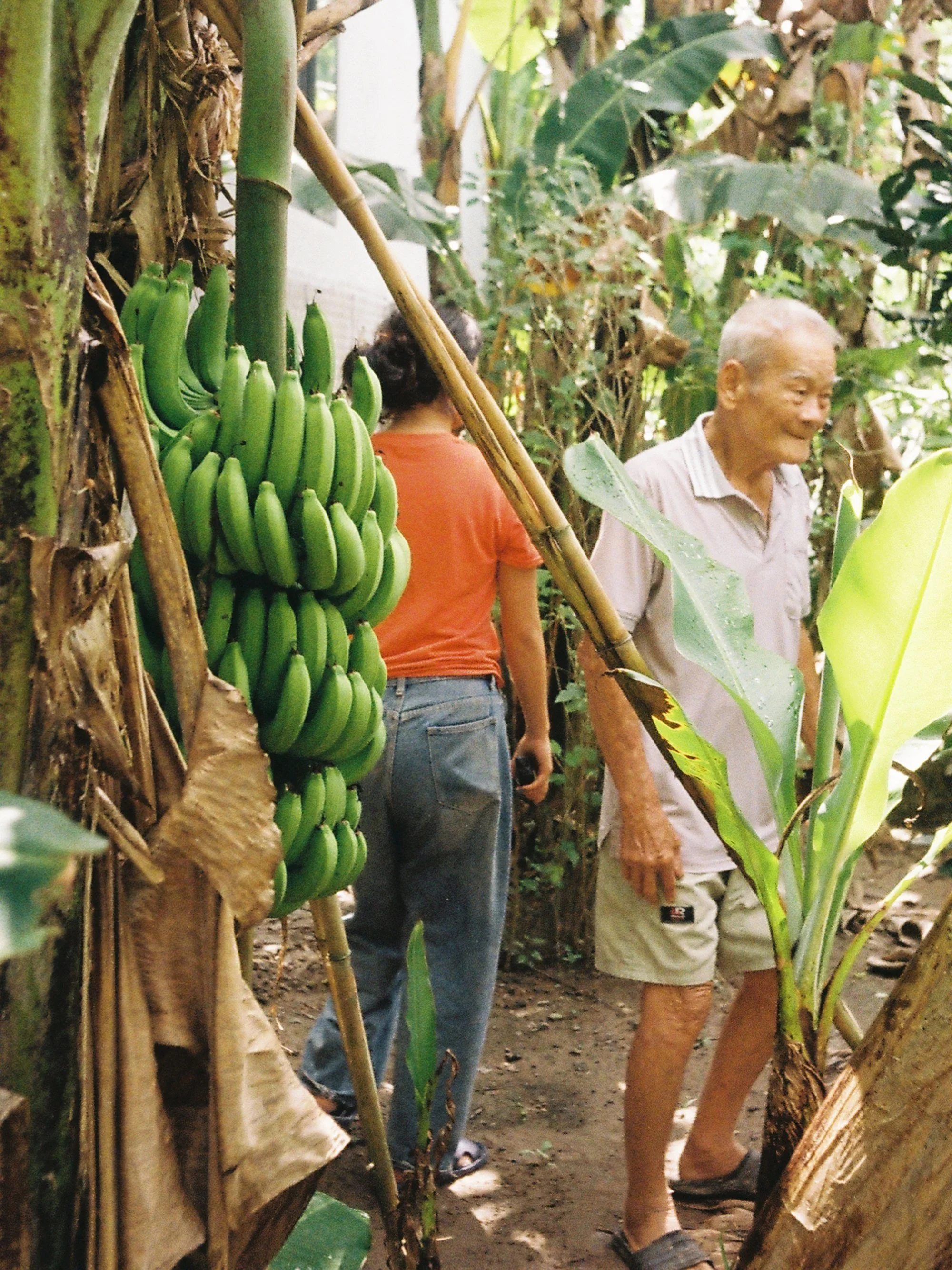 Homecoming: Vietnam, With Tyron Tran
