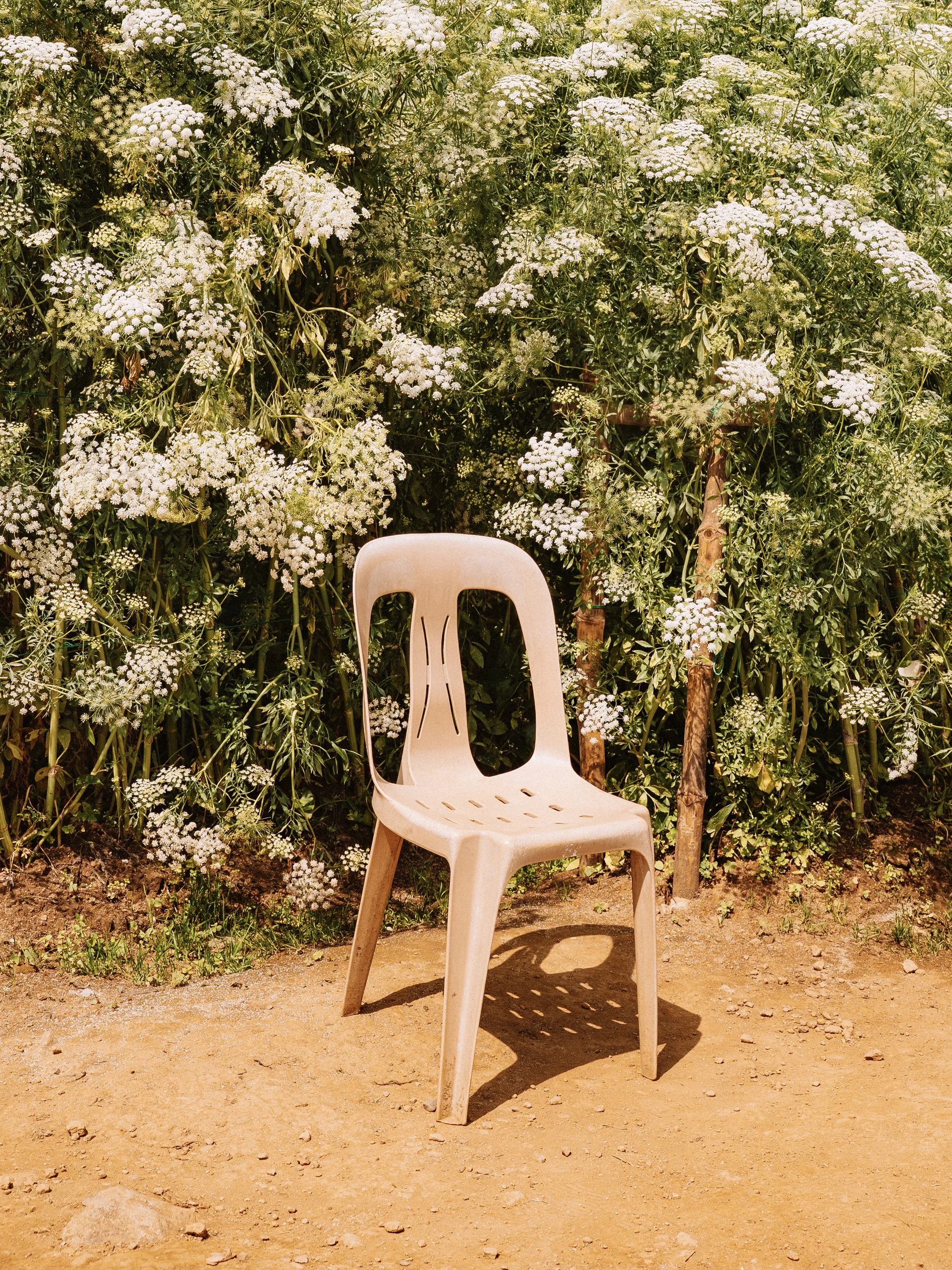 Love Letter: The Plastic Chair