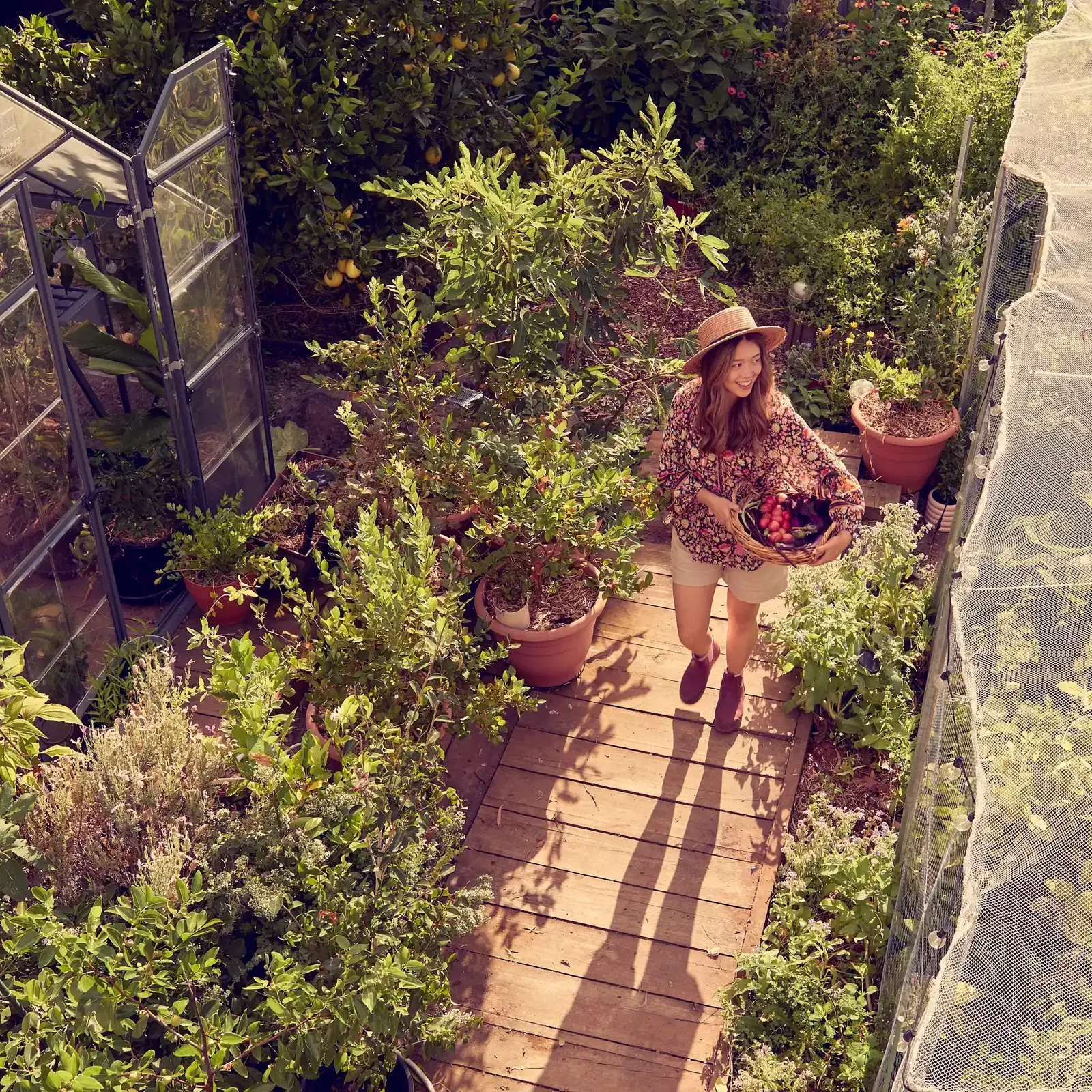 Start Your Own Summer Veggie Patch With Connie Cao