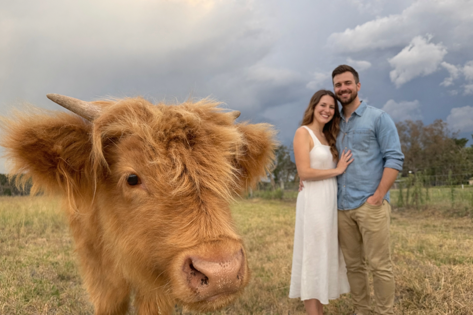 A landscape with rolling hills, a modern house, and snow-capped mountains in the background.