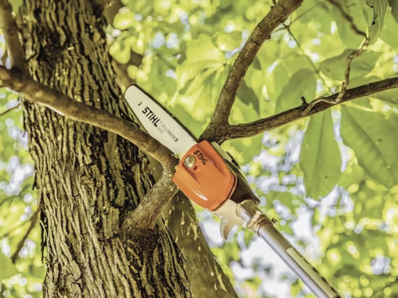 Arborist trimming tree branches with a chainsaw as part of professional pruning services.