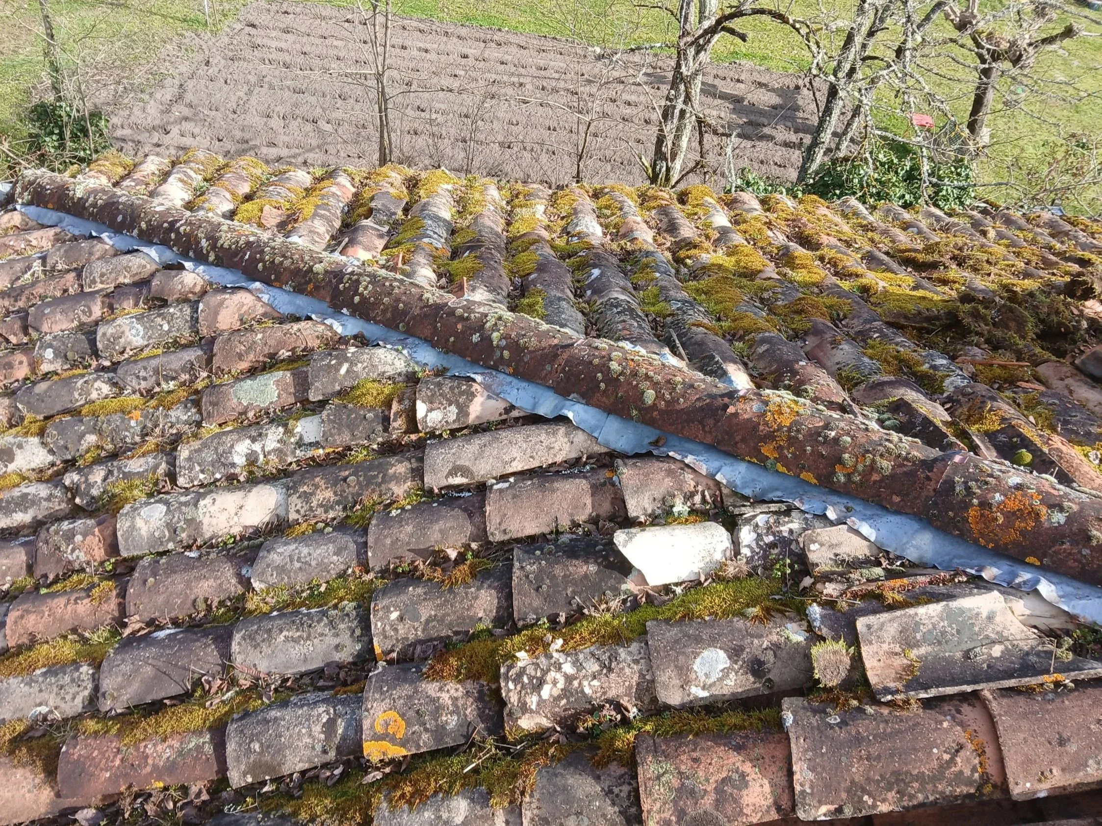 Voiture de service blanche stationnée devant une maison avec un toit en tuiles rouges, un arbre vert à droite, et une échelle en métal contre la maison.