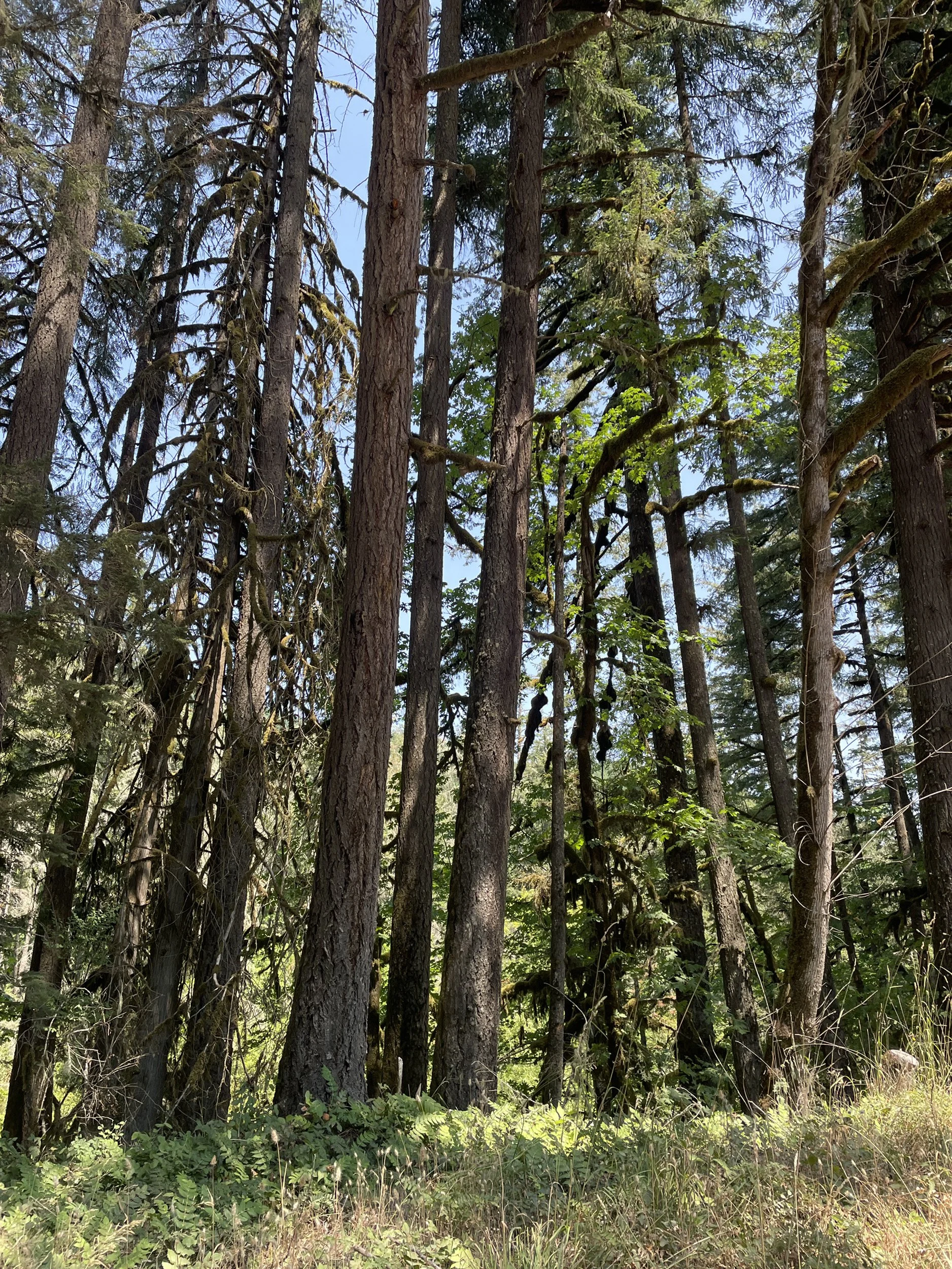 Geometric drawing of an outline square with sections divided by vertical, horizontal, and circle lines.