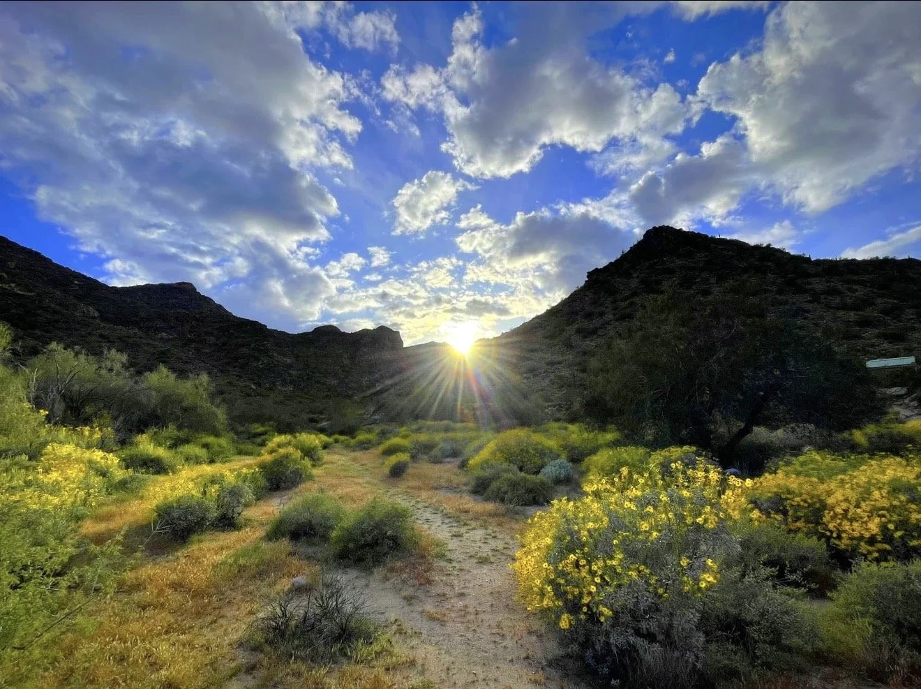 Mountain with sun peeking through, blue sky with white fluffy clouds, some light green brush in front