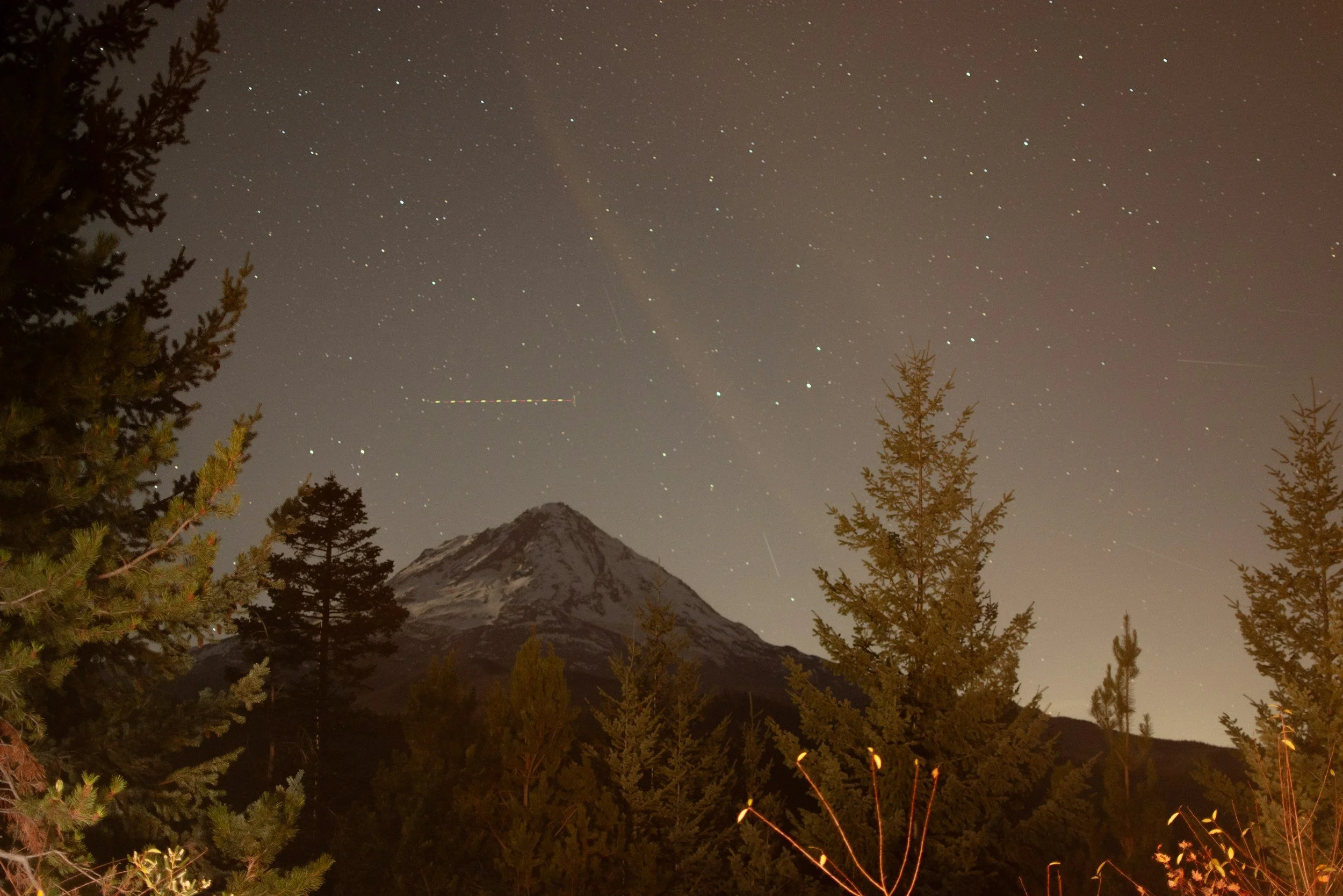 Nighttime scene of snow-capped mountain, stars in the sky, and pine trees in the foreground.
