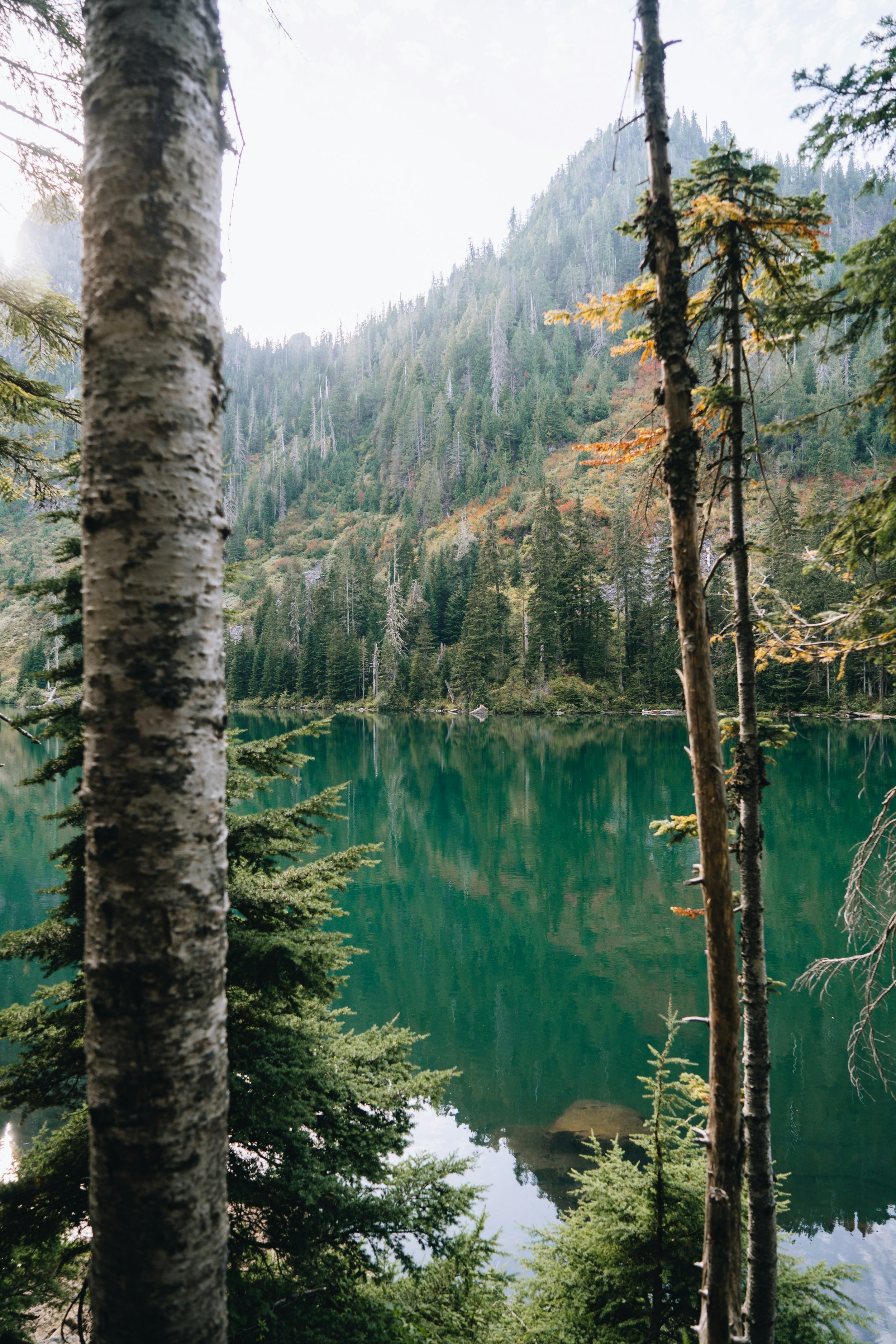 peter-thomas-ZD37rV9OKx0-unsplash.jpg
