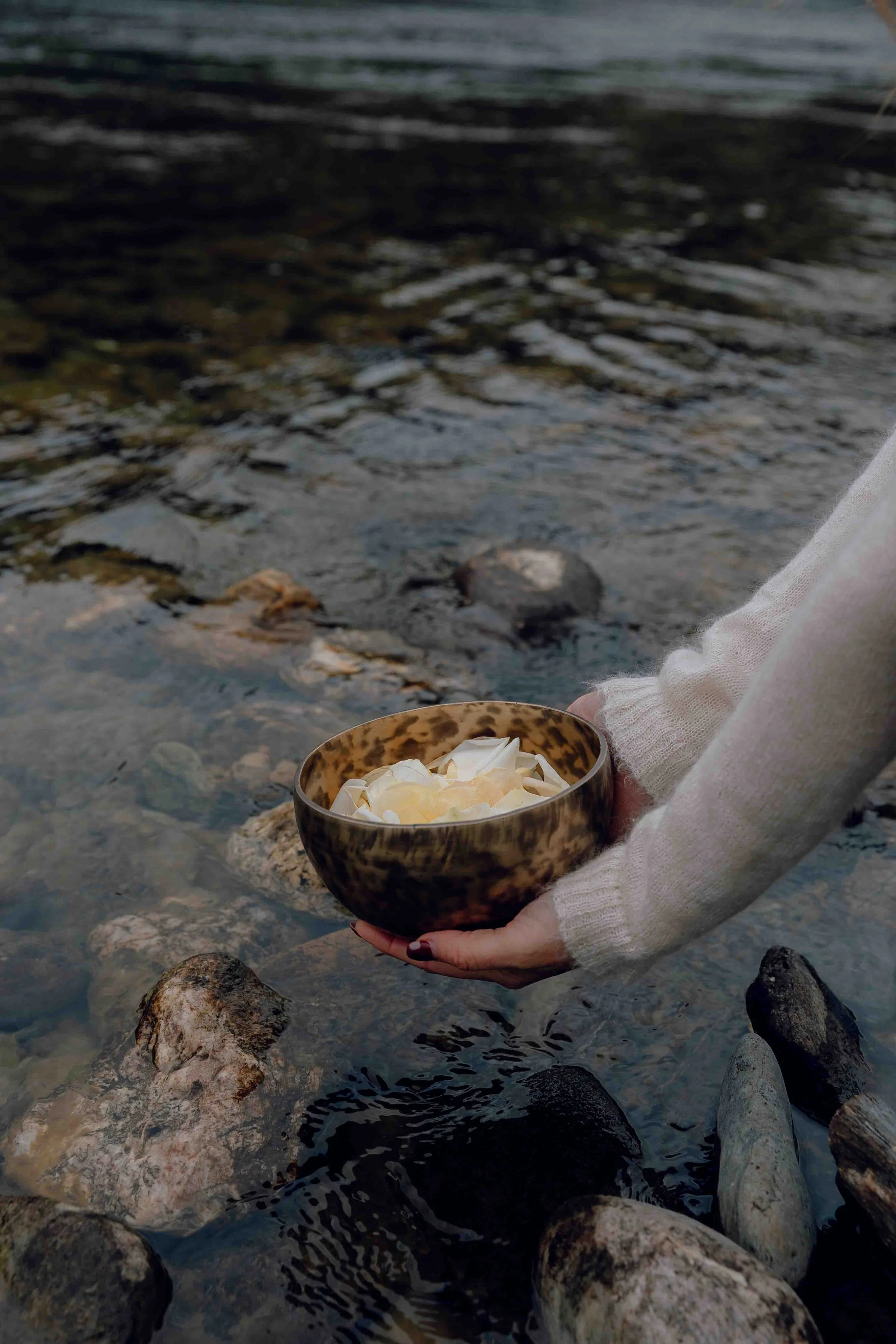 Branding and More Photographer Wanaka and Southland New Zealand