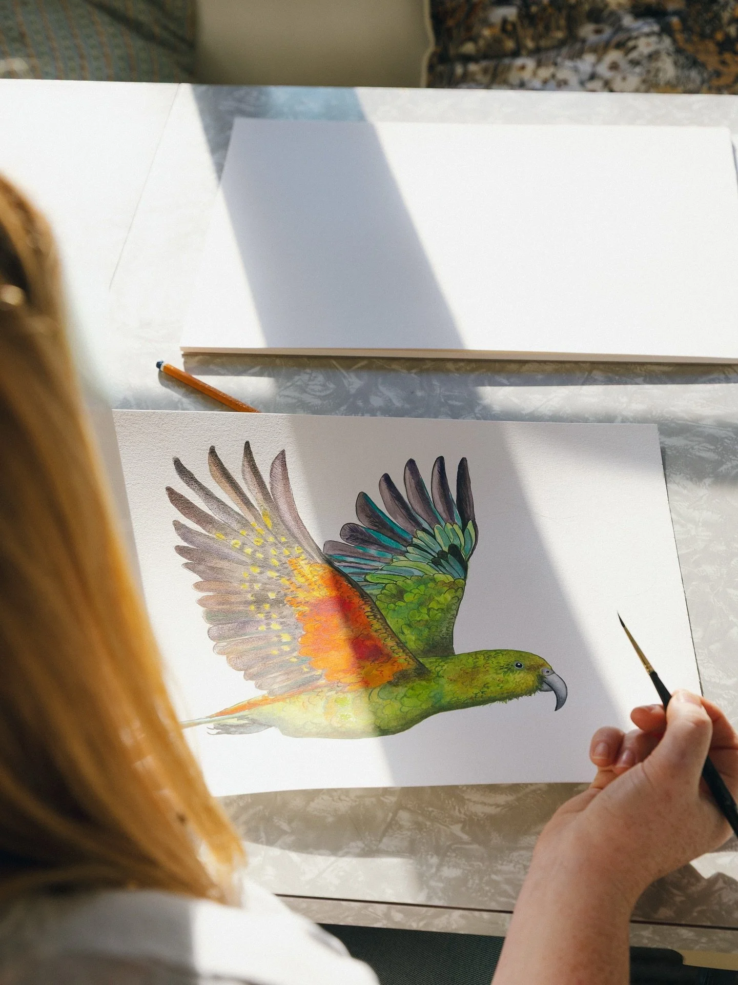 Some branding shots for the incredibly talented Pip at @pips_paintings. A recent collection she is working on of some of New Zealand&rsquo;s beautiful birds. 

Keywords: Wānaka photographer, Branding photography, art