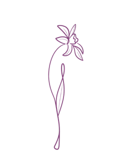 Line drawing of a flower with a curved stem and a detailed bloom.