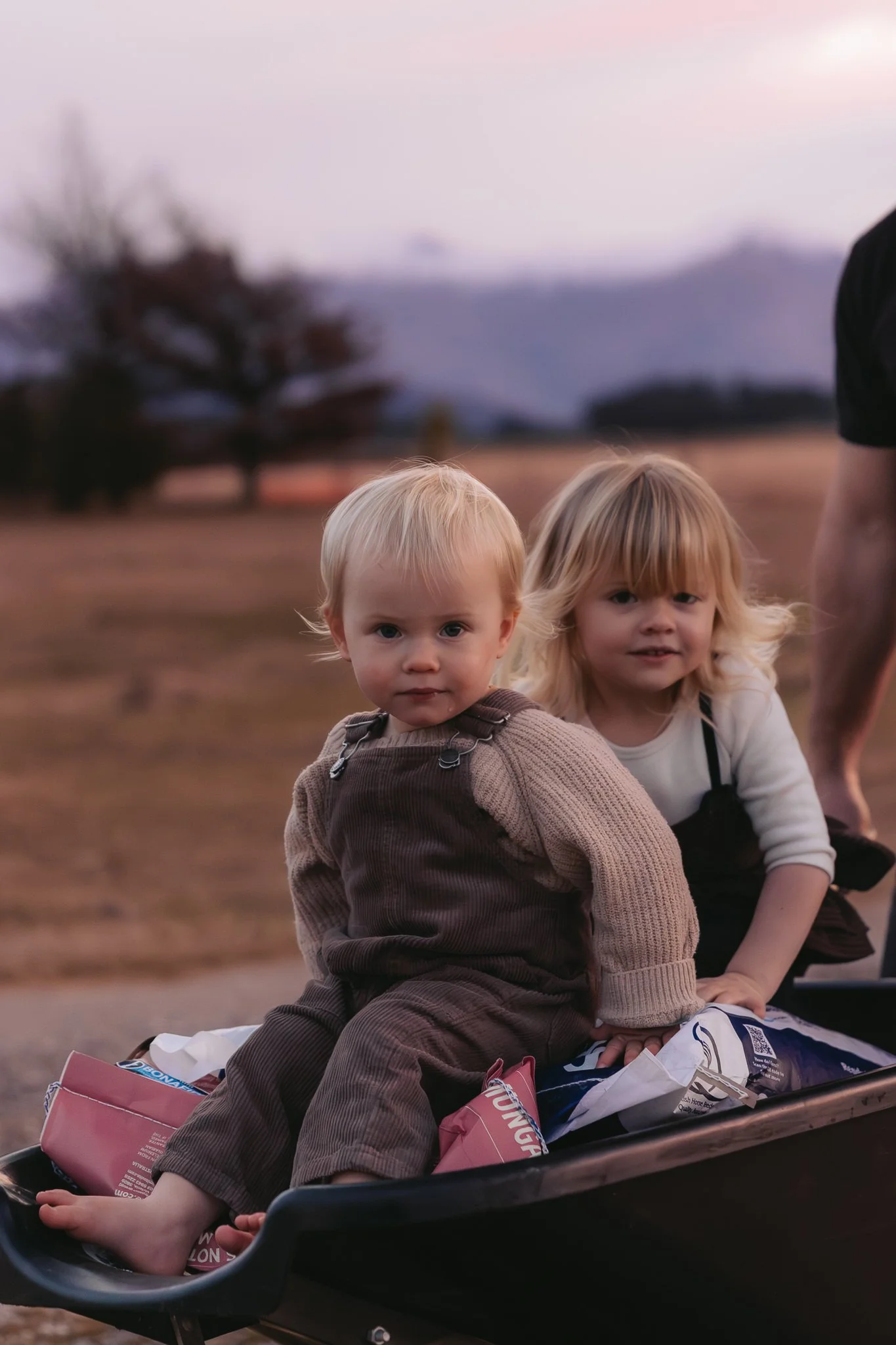 Two young children with blonde hair sitting on a wagon or cart outdoors during sunset, surrounded by a natural landscape with a blurred tree and mountains in the background.