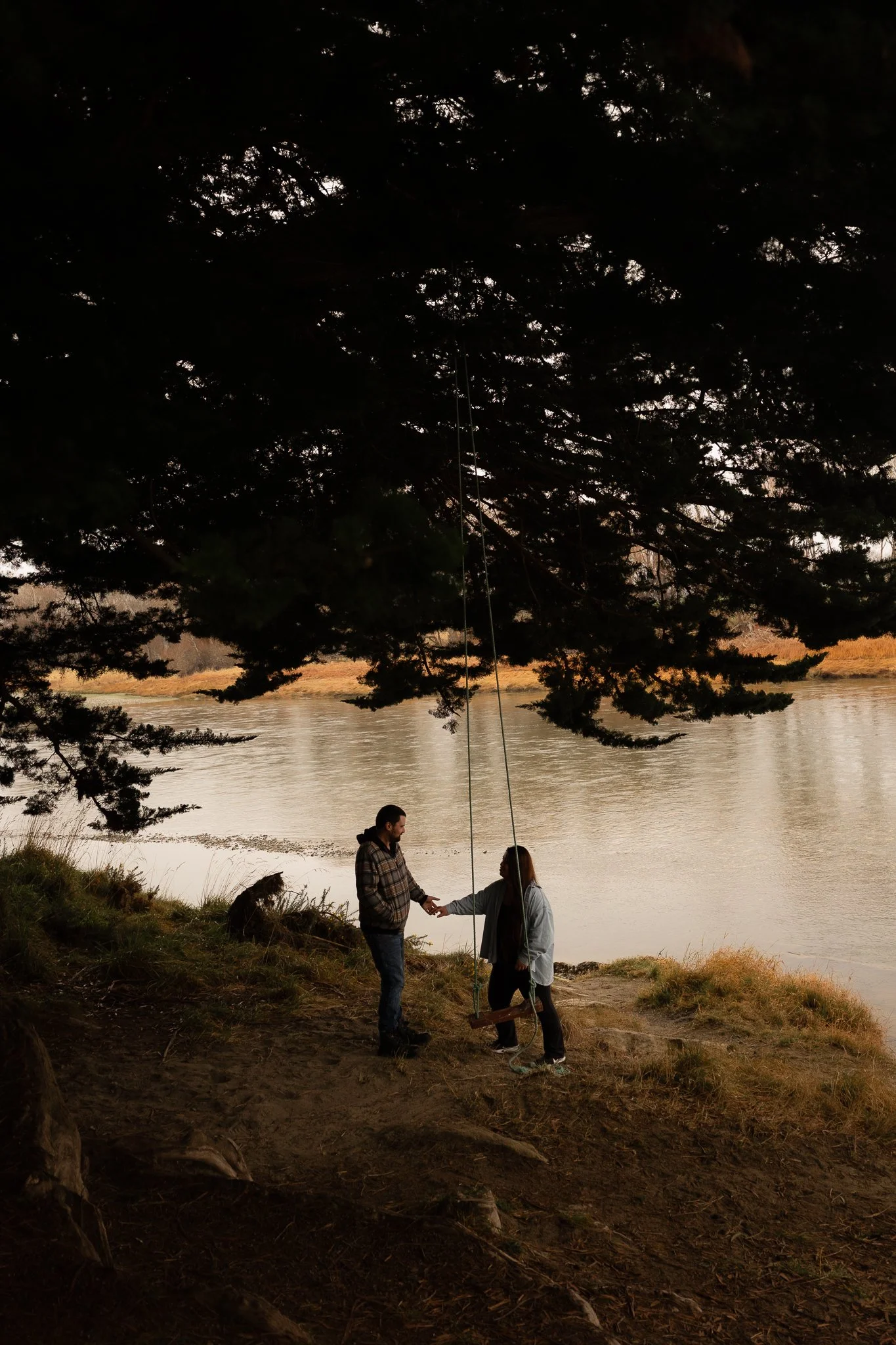 Two people holding hands near a lake, sitting on a swing hanging from a large tree, with a man wearing a checkered jacket and woman wearing a hoodie, beneath an expansive tree with dark branches, in a natural setting during evening or dawn.