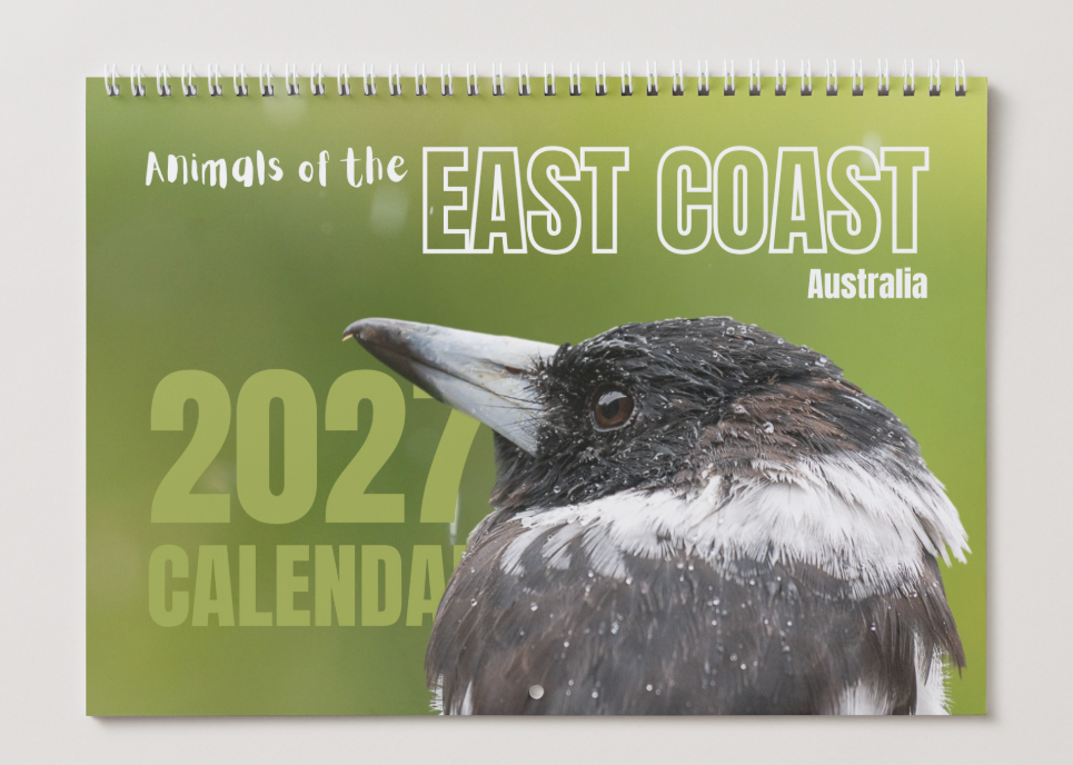 2027 'Animals of the East Coast Australia' Wall Calendar