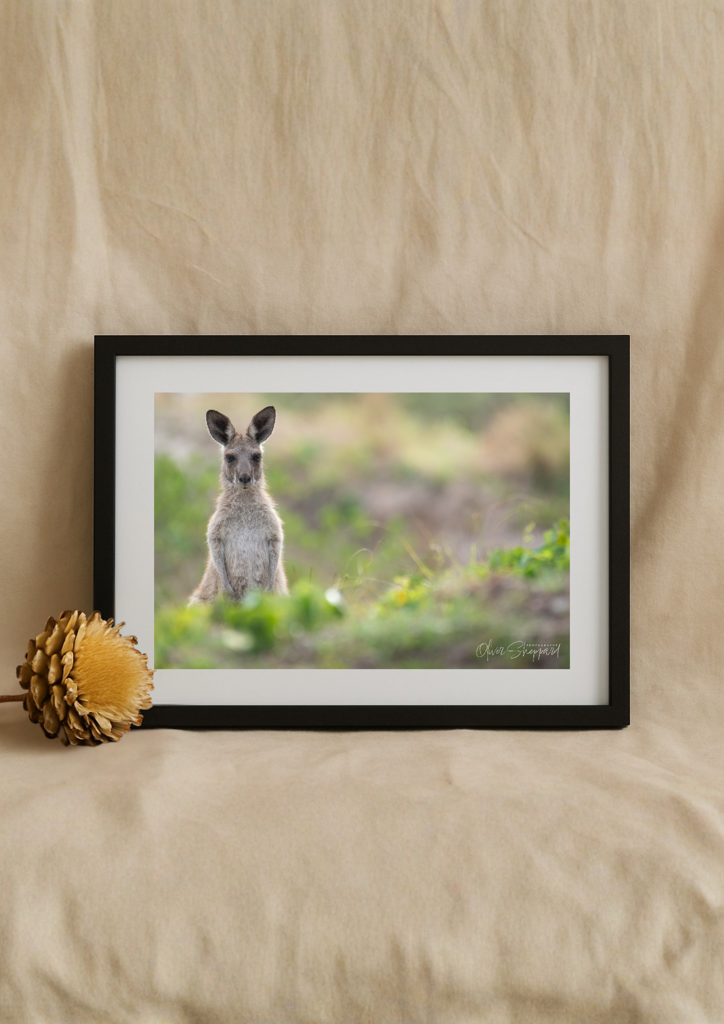 "A Look From Joey" - Fine Art Print