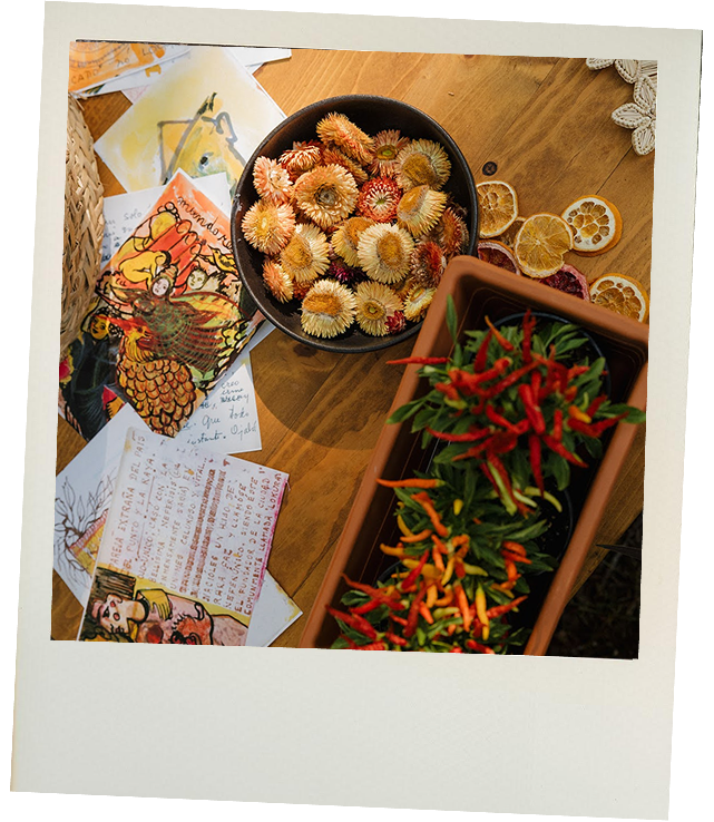 A table with dried decorative flowers, dried lemon slices, colorful chili peppers, and handwritten notes or illustrations.