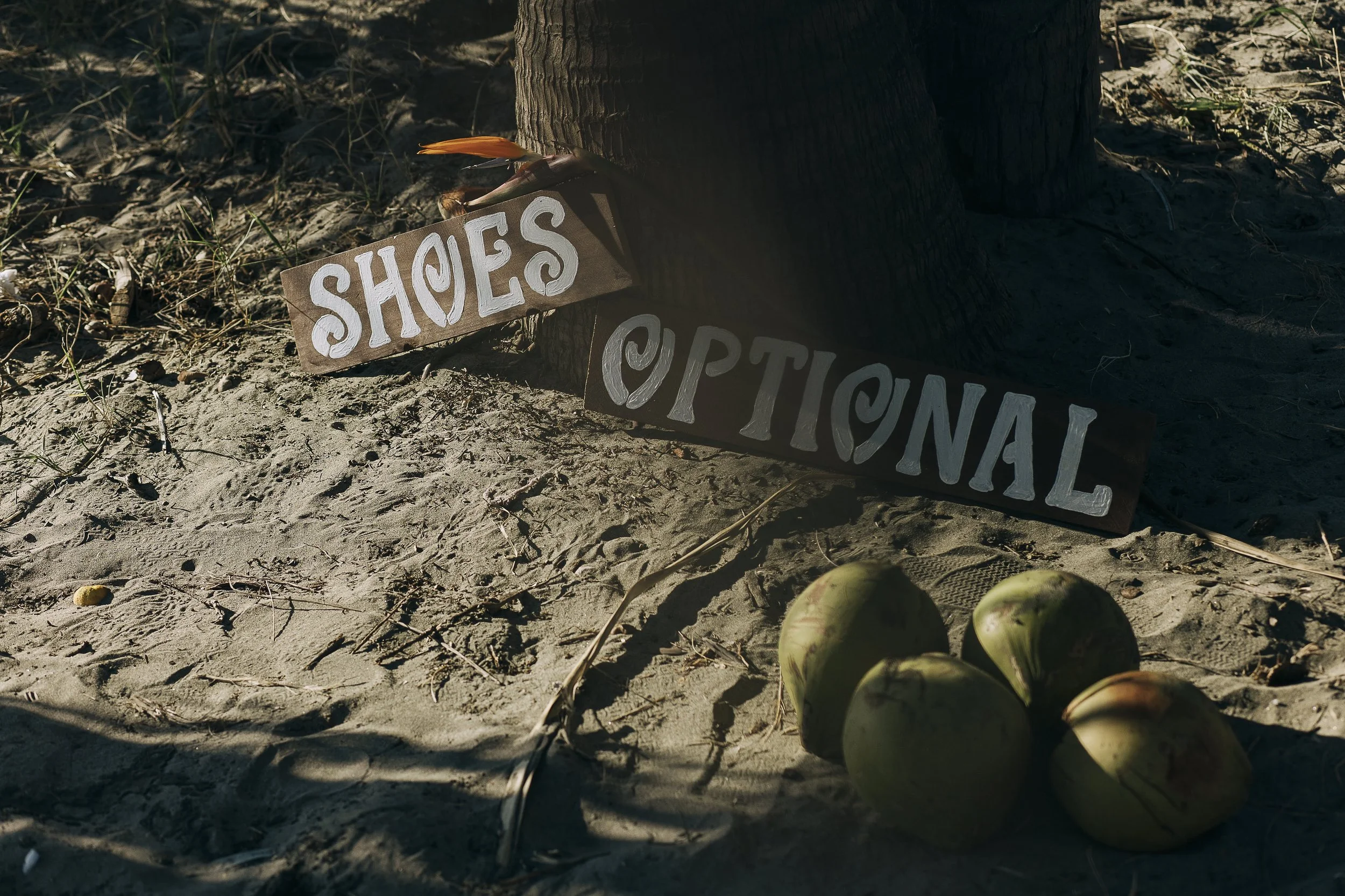 Colorful sign on the ground reads "SHOES" and "OPTIONAL" next to a tree trunk. Several green coconuts are in the sand near the sign, with a few scattered leaves and debris around.