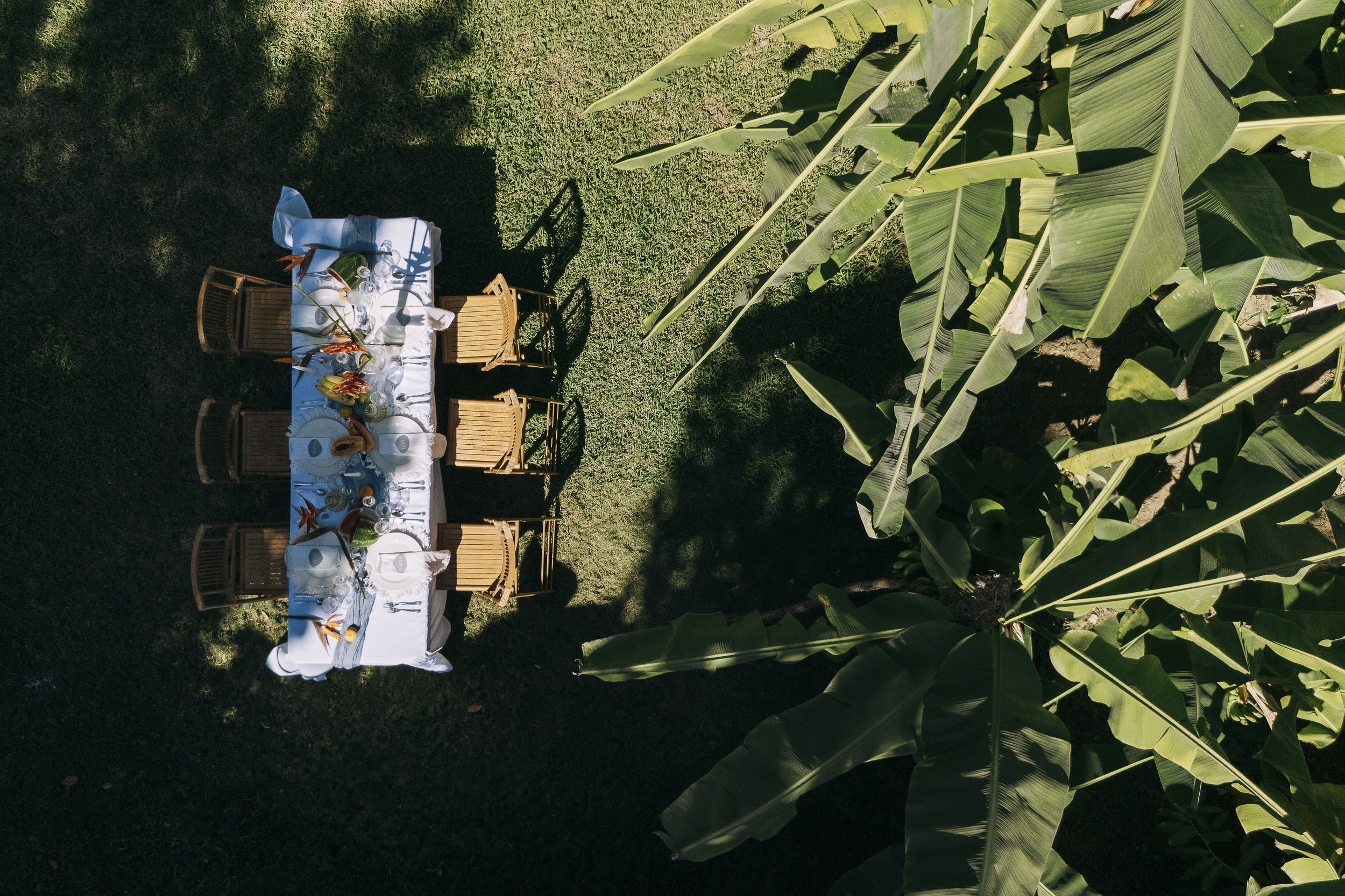 Overhead view of a long dining table set with white tablecloth, plates, glasses, and tropical fruit, surrounded by wooden chairs, in a lush green outdoor area shaded by large leafy plants.