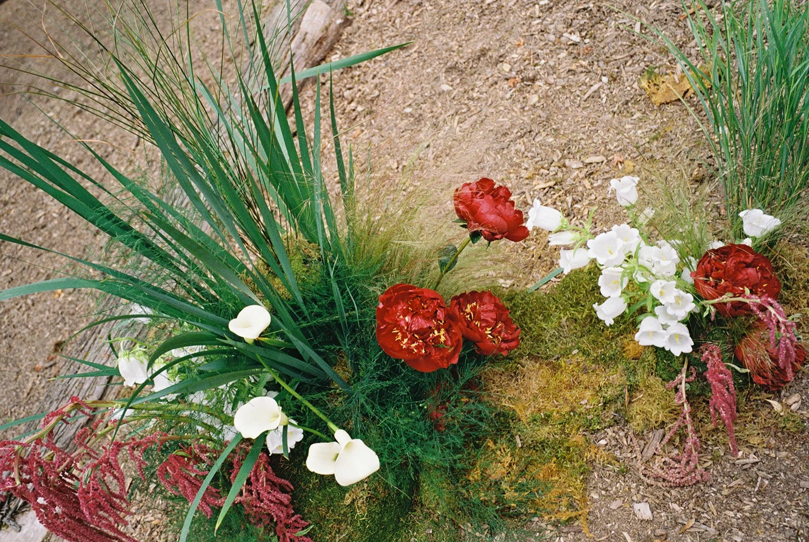 SGS-Wedding-Event-Planning-Seattle-Mexico-Kiran-Stephen-11_websize (3).jpg