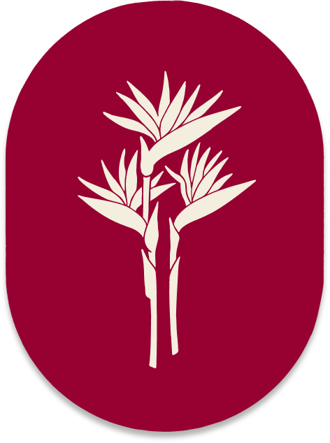 A white silhouette of a bird of paradise plant on a maroon background.