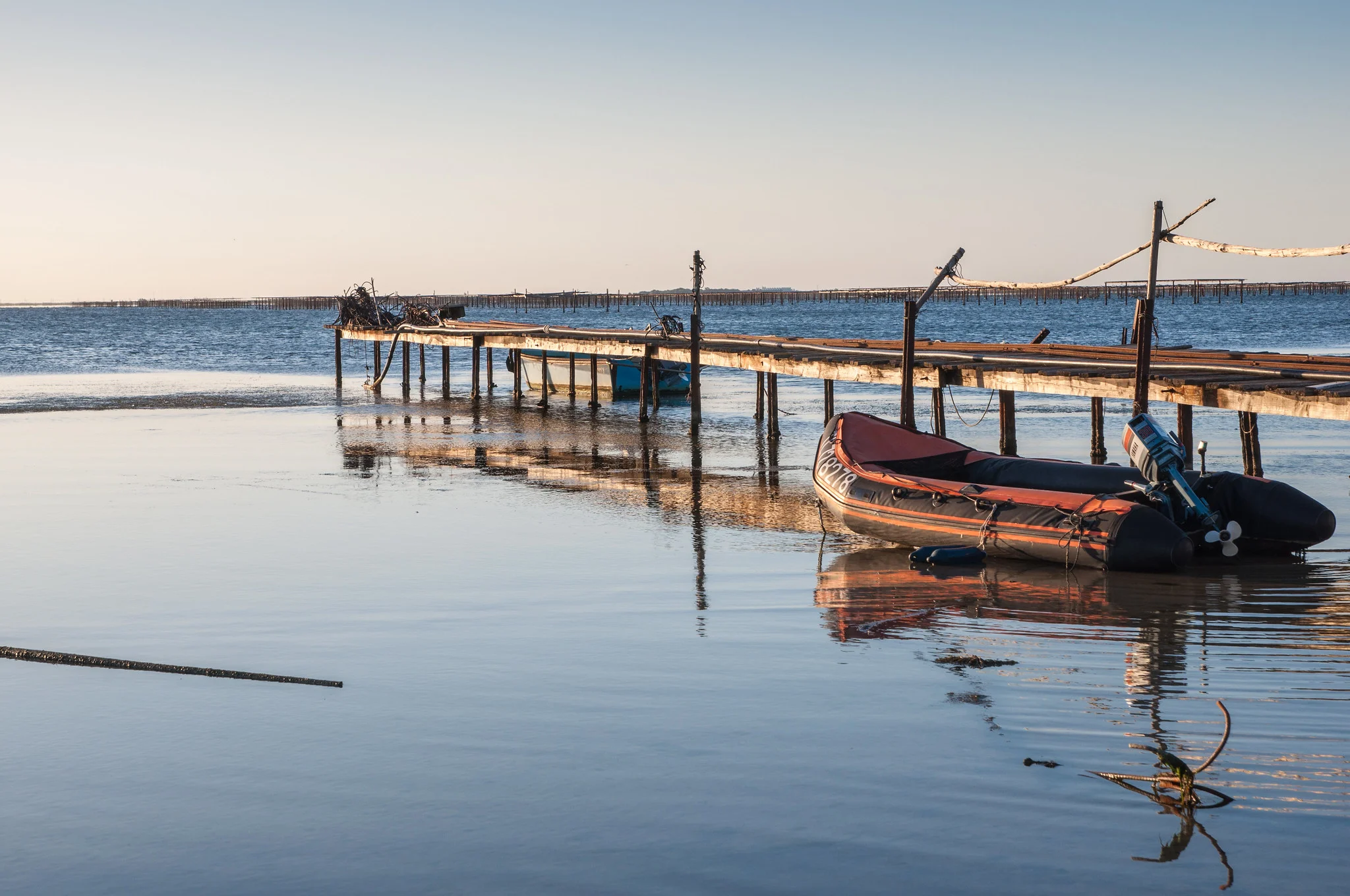 Changing climate brings challenges for aquaculture disease control