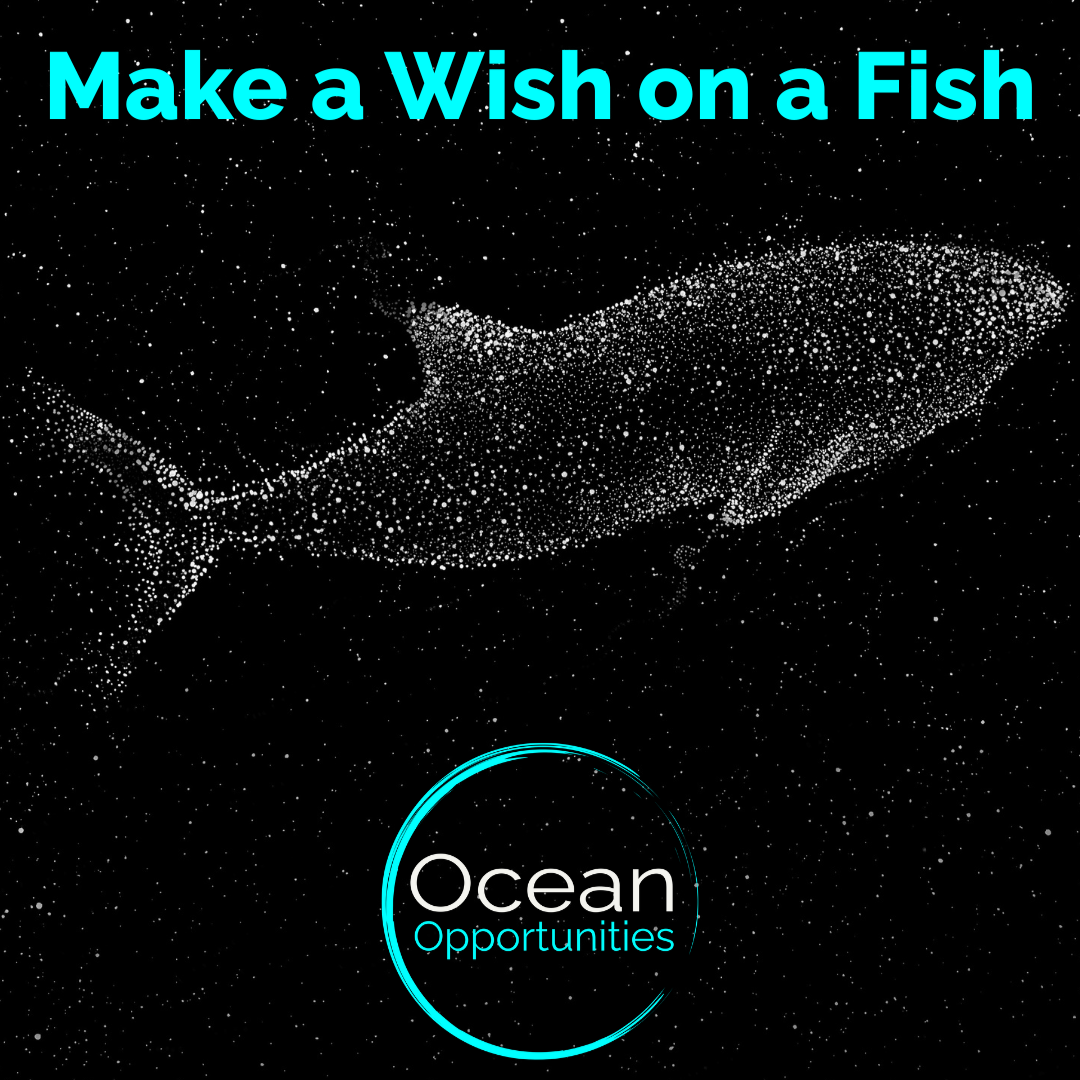 Make a Wish on a Fish