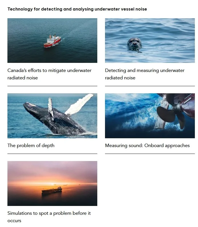 screenshot of some of the articles produced for the quiet vessels initiative series