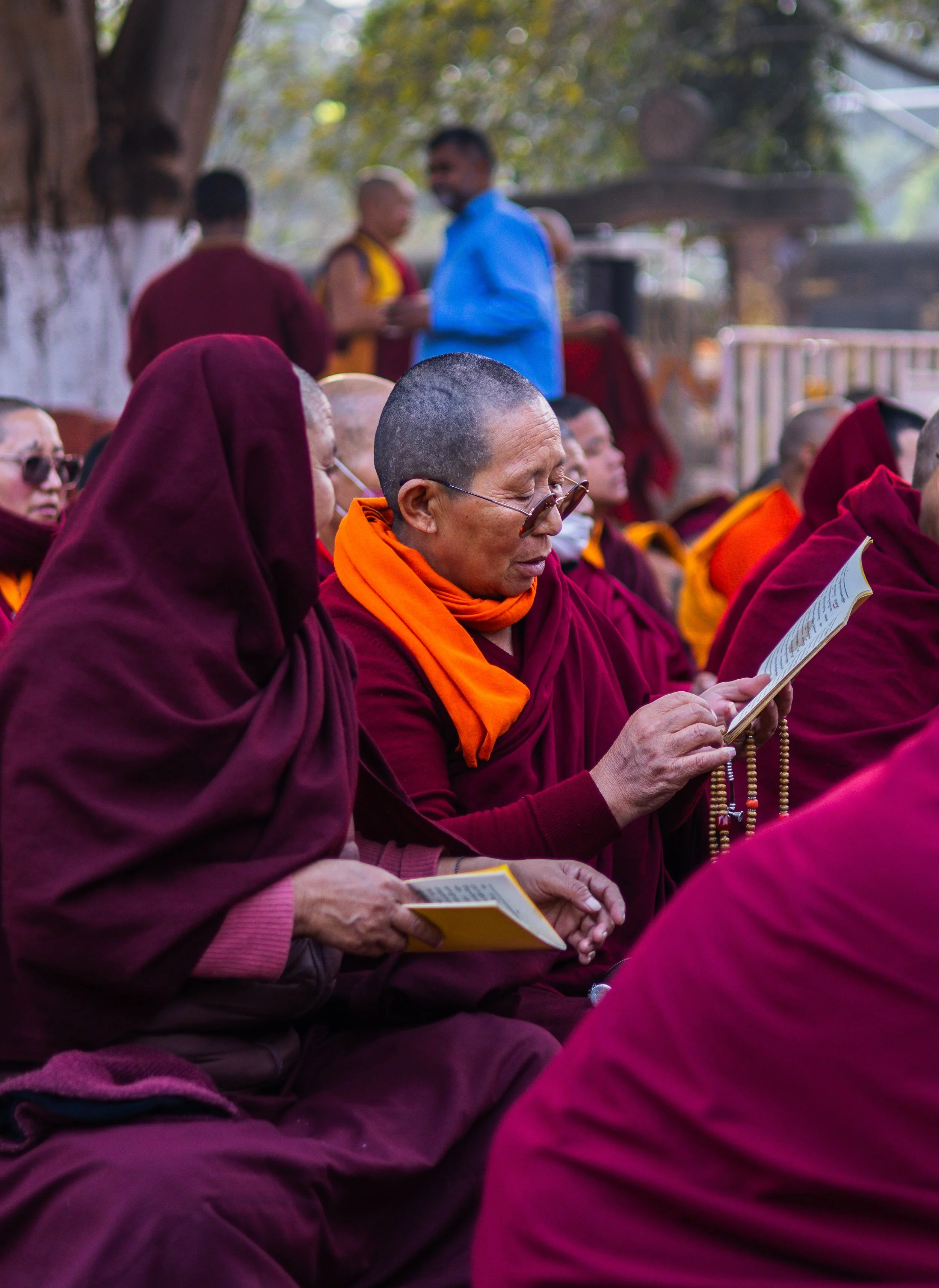 “Wenn alles zusammenbricht” - Pema Chödrön