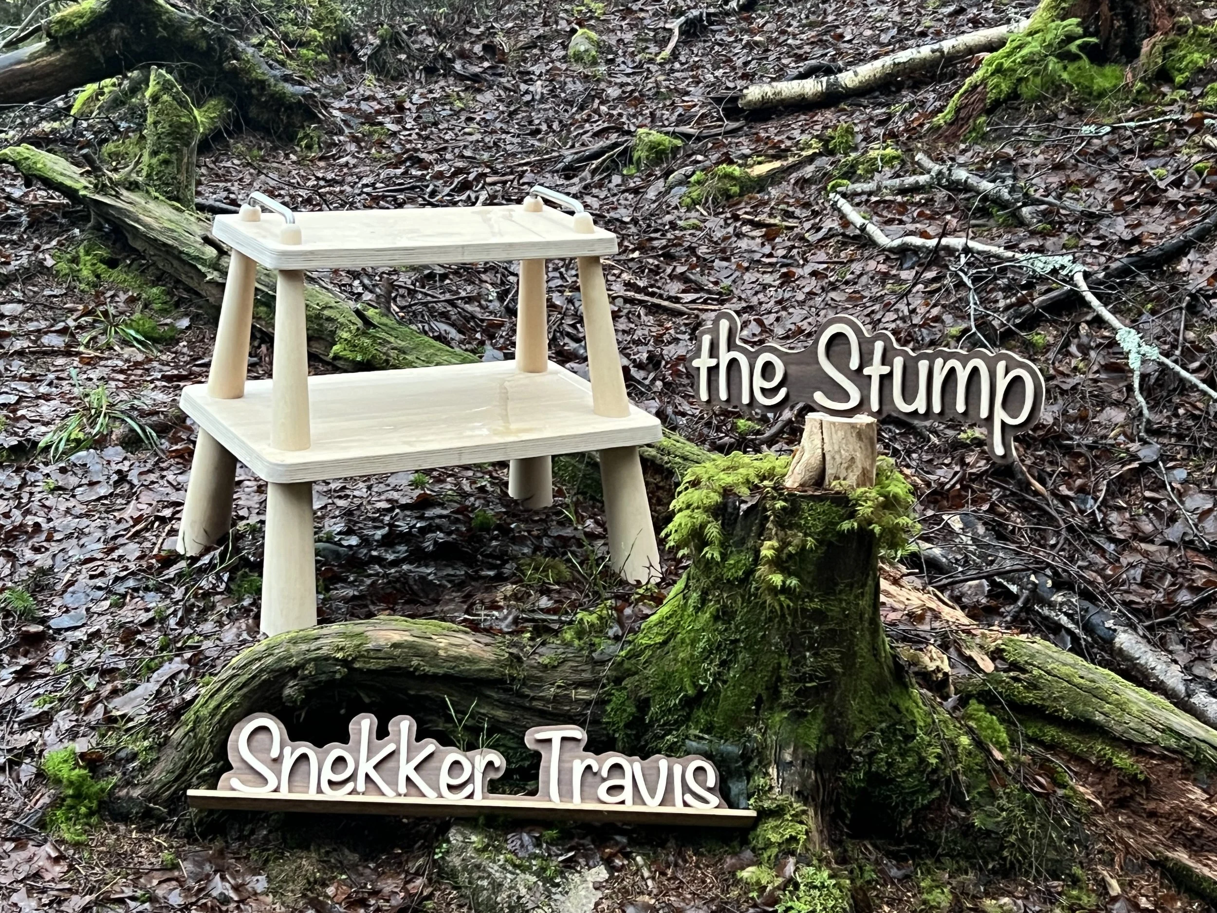 The Stump