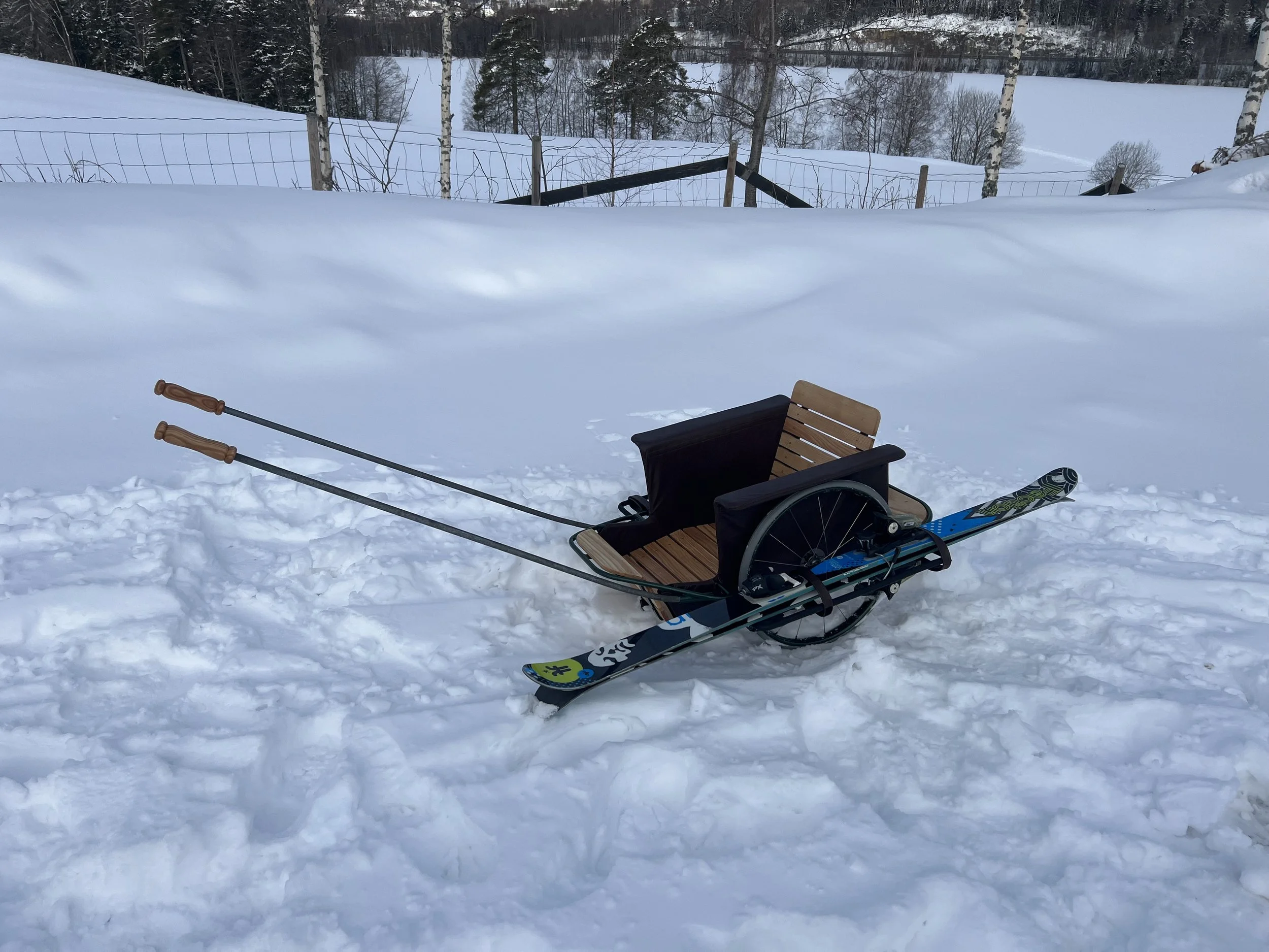 Alpine cart, ash cart, converted milk carriage, ski cart, made by Snekker Travis Johnson