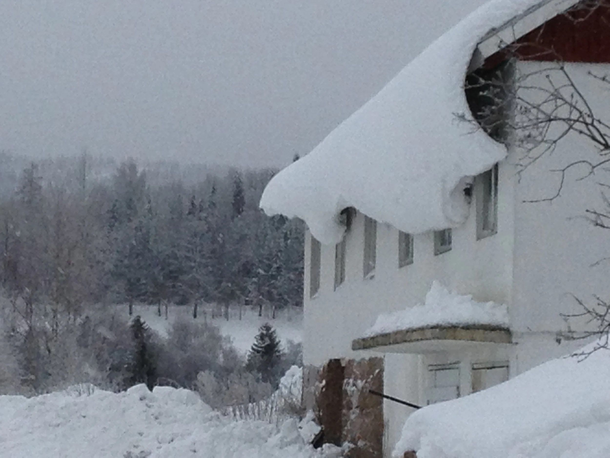 Winter workshop, workshop Snekker Travis Johnson