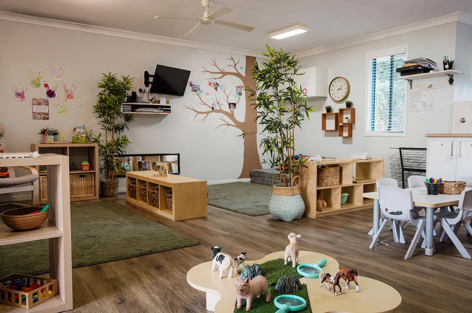 Early Learners Hub Blackbutt-115.jpg