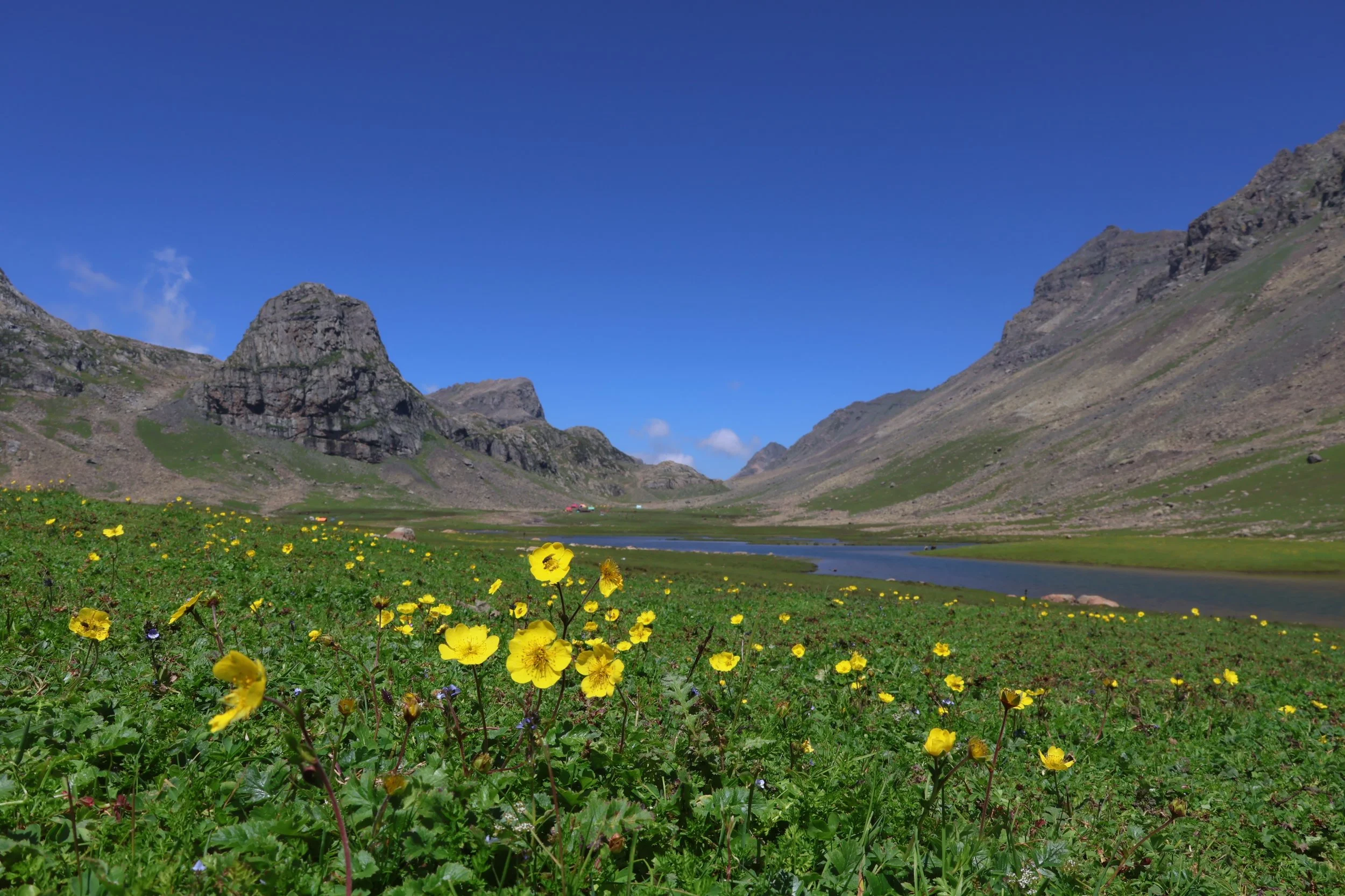 A Visual Journal of Living Landscapes