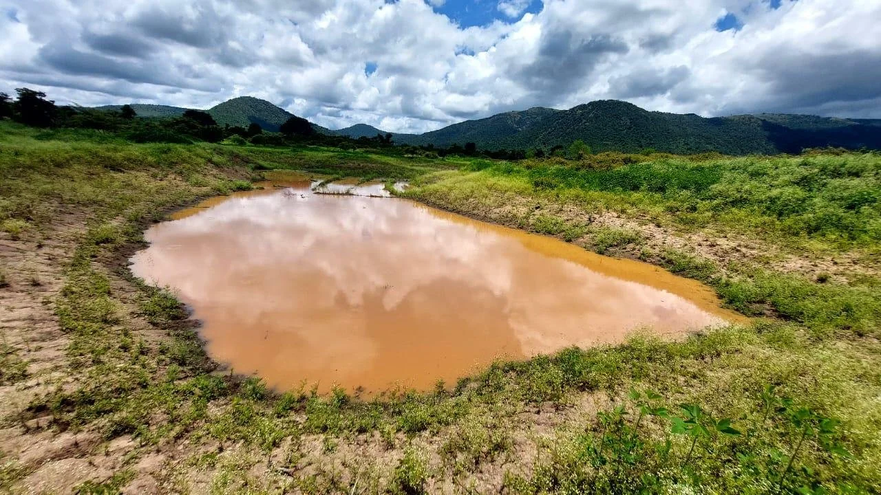 Wetland complex with the catchment area in the background