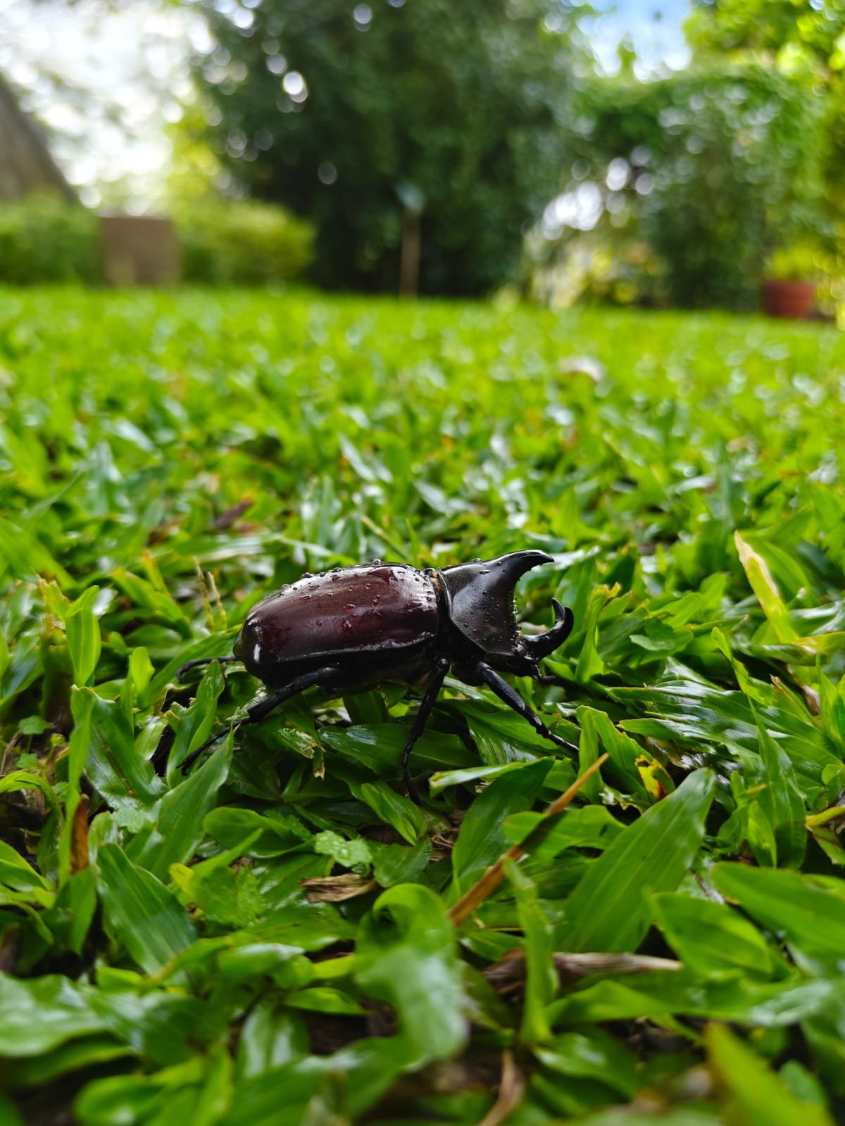 WhatsApp Image 2025-11-25 at 06.36.27_0c6b42a3.jpg