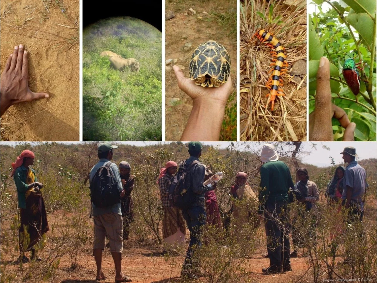 Documenting the process