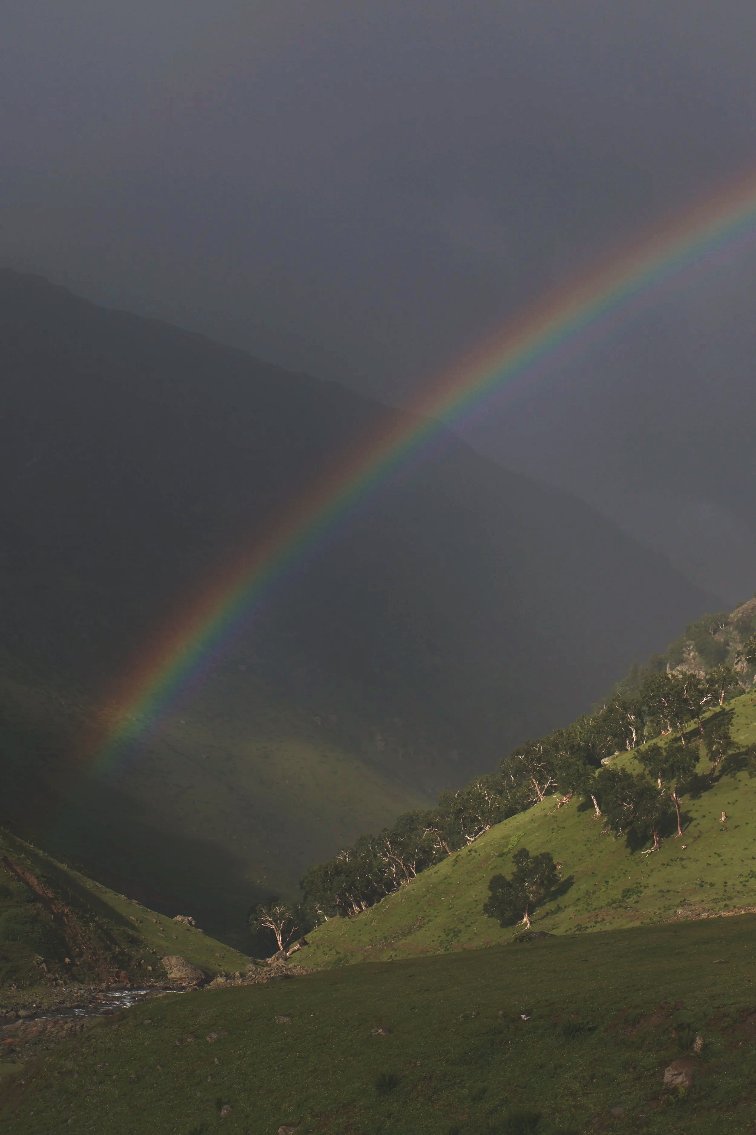 Alpine meadow's of Tarsar Marsar landscape, Kashmir 